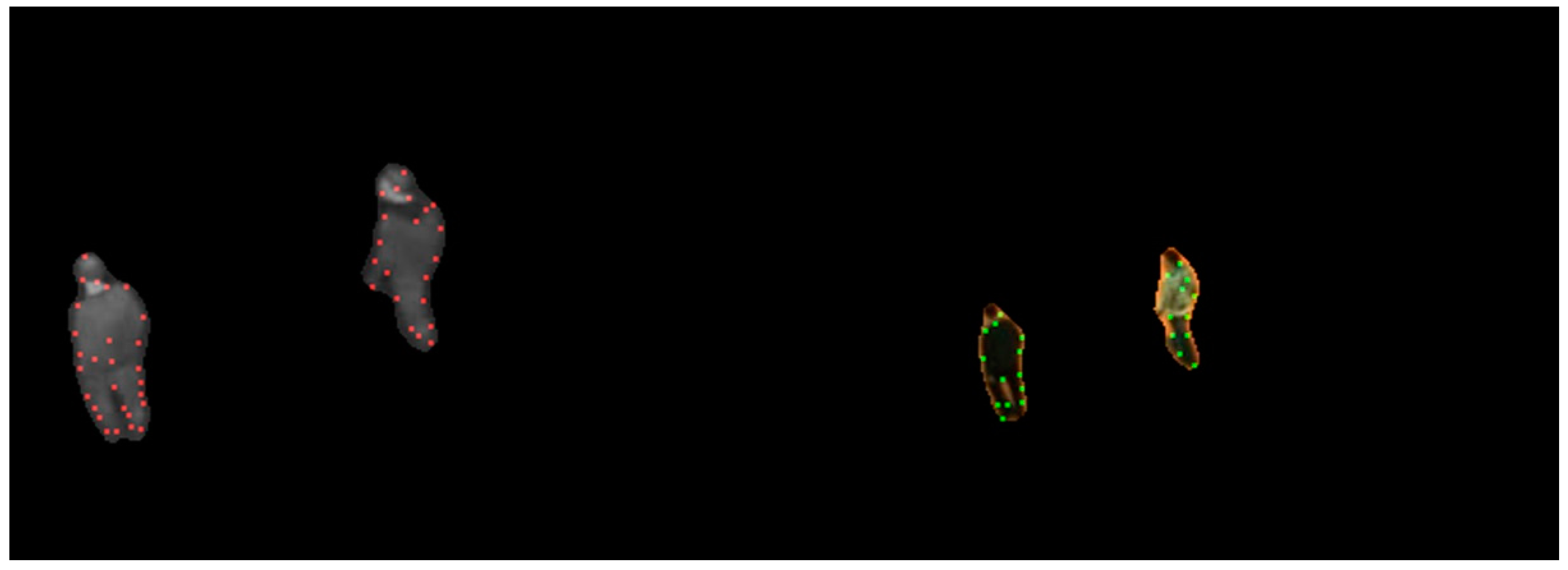 Sensors 17 00384 g003