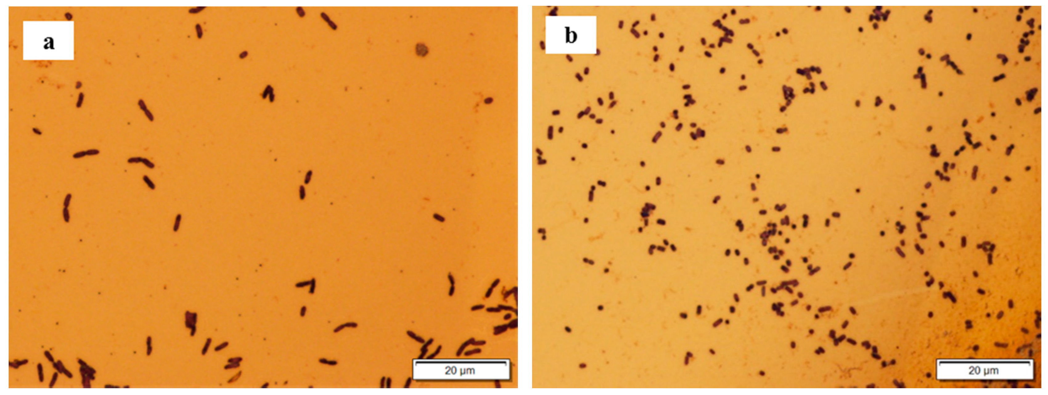 Sensors 17 00386 g003
