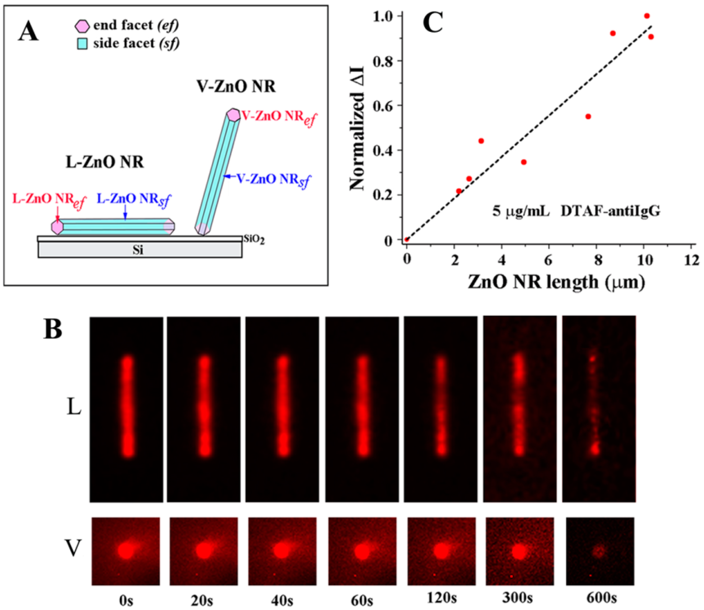Sensors 17 00428 g008 550