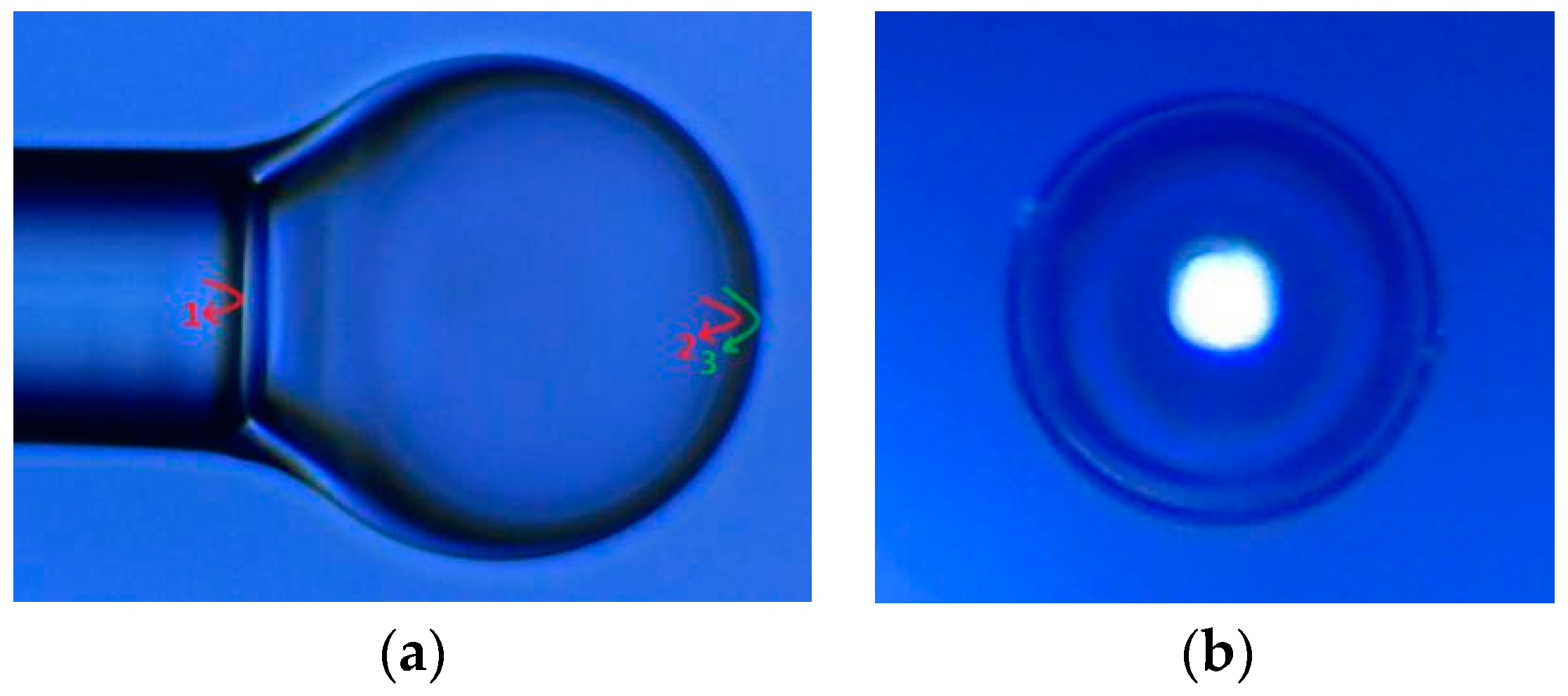 Sensors 17 00555 g002
