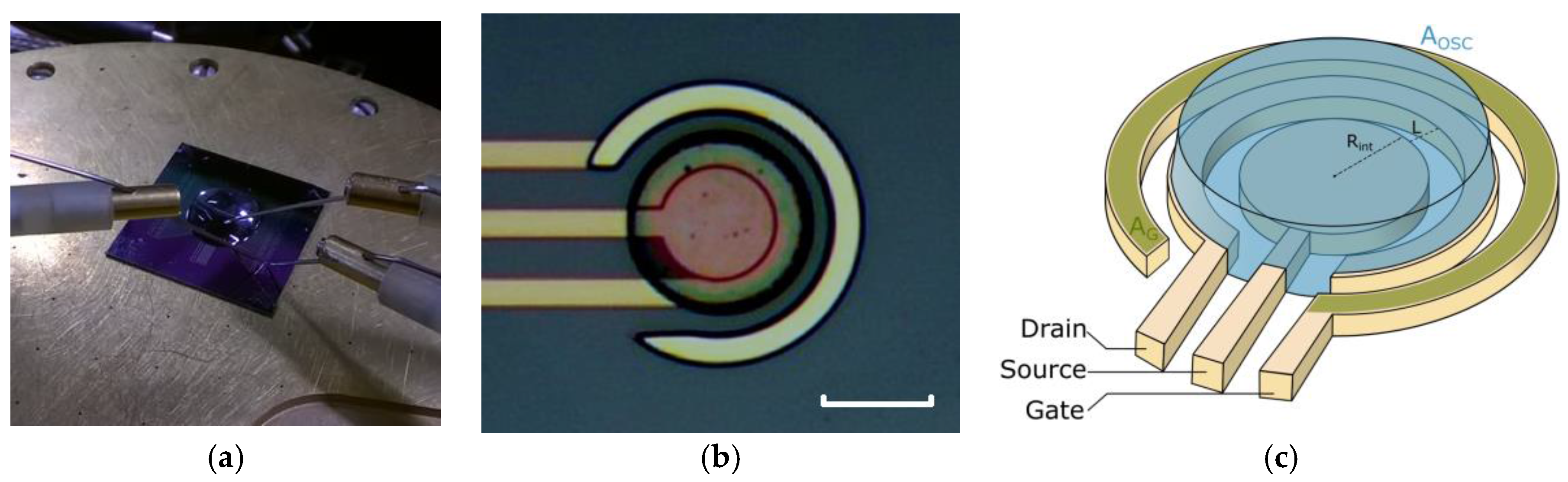 Sensors 17 00570 g001a 550