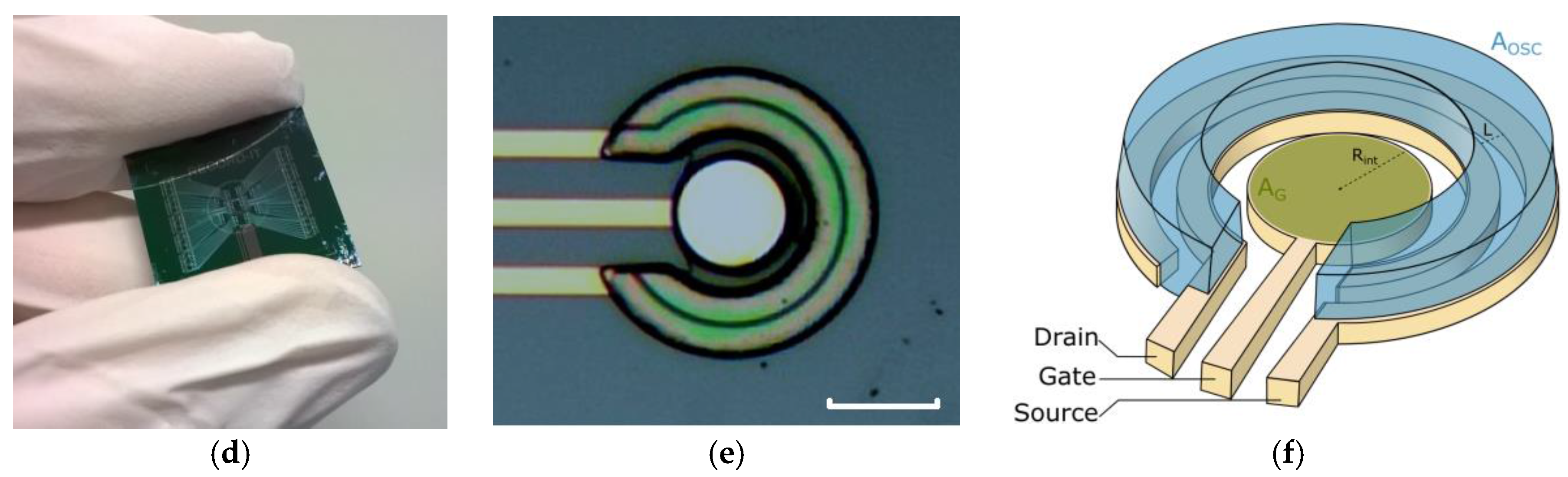 Sensors 17 00570 g001b 550