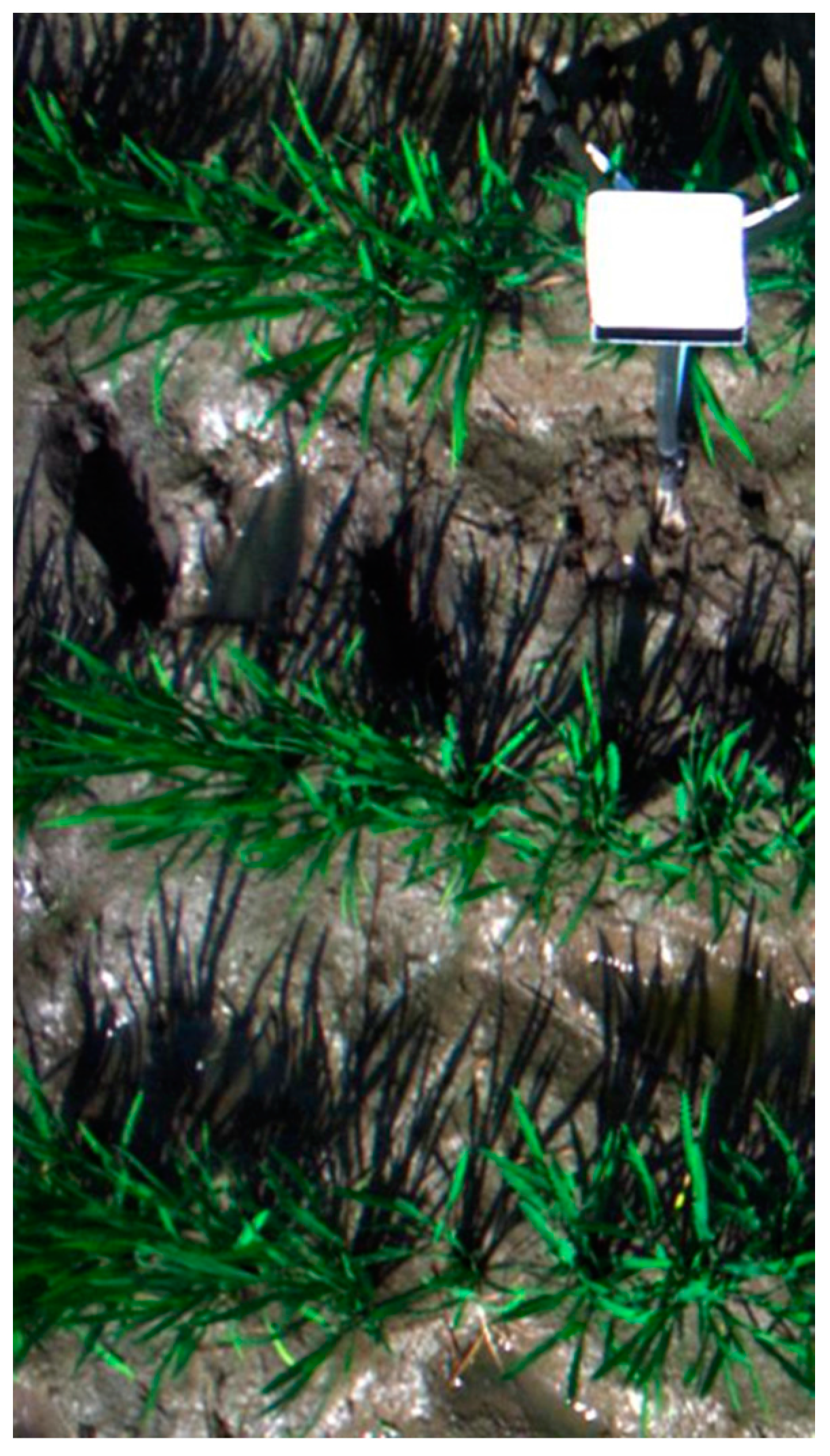 Sensors 17 00578 g002 550