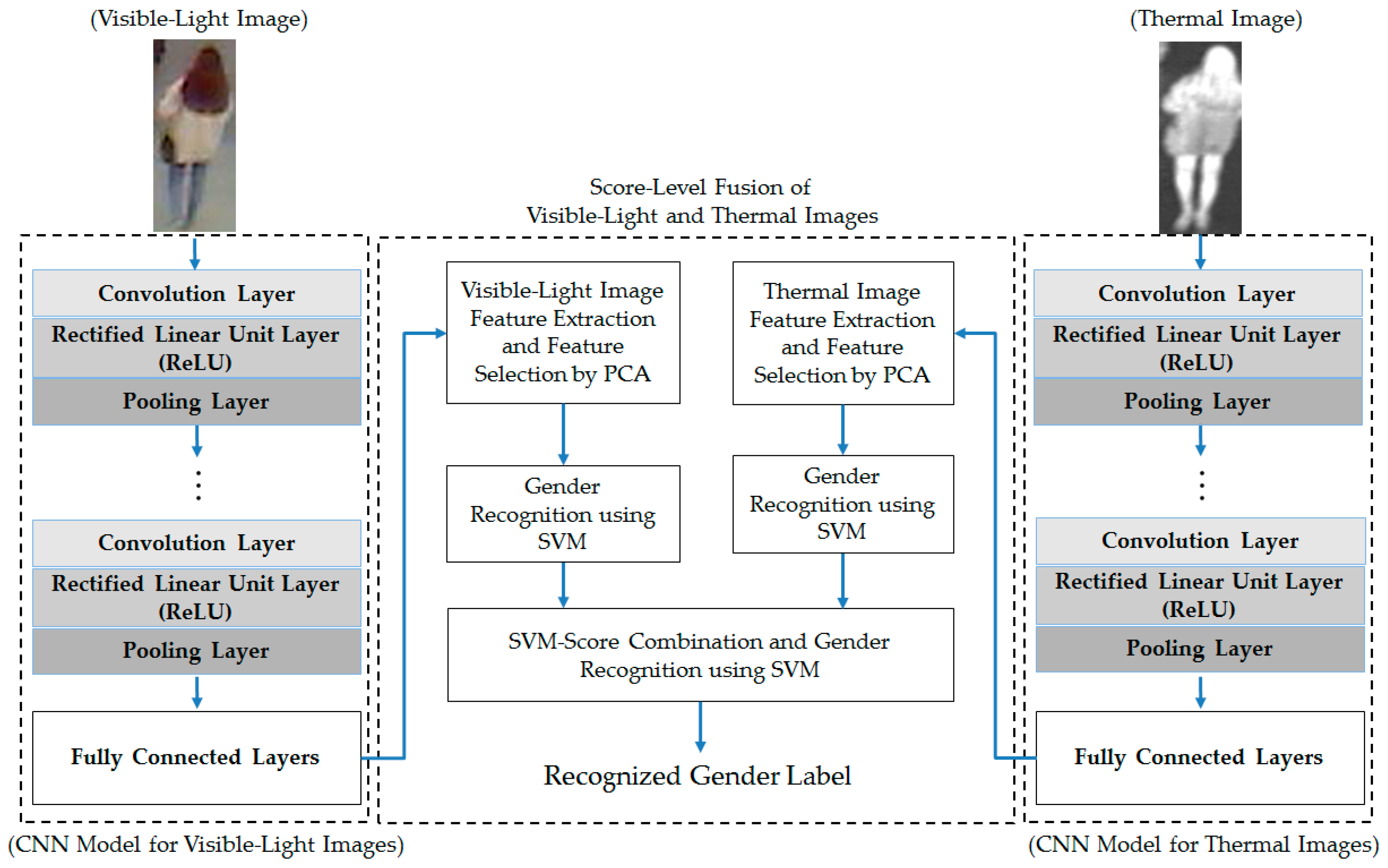 Sensors | Free Full-Text | Gender Recognition from Human-Body Images ...