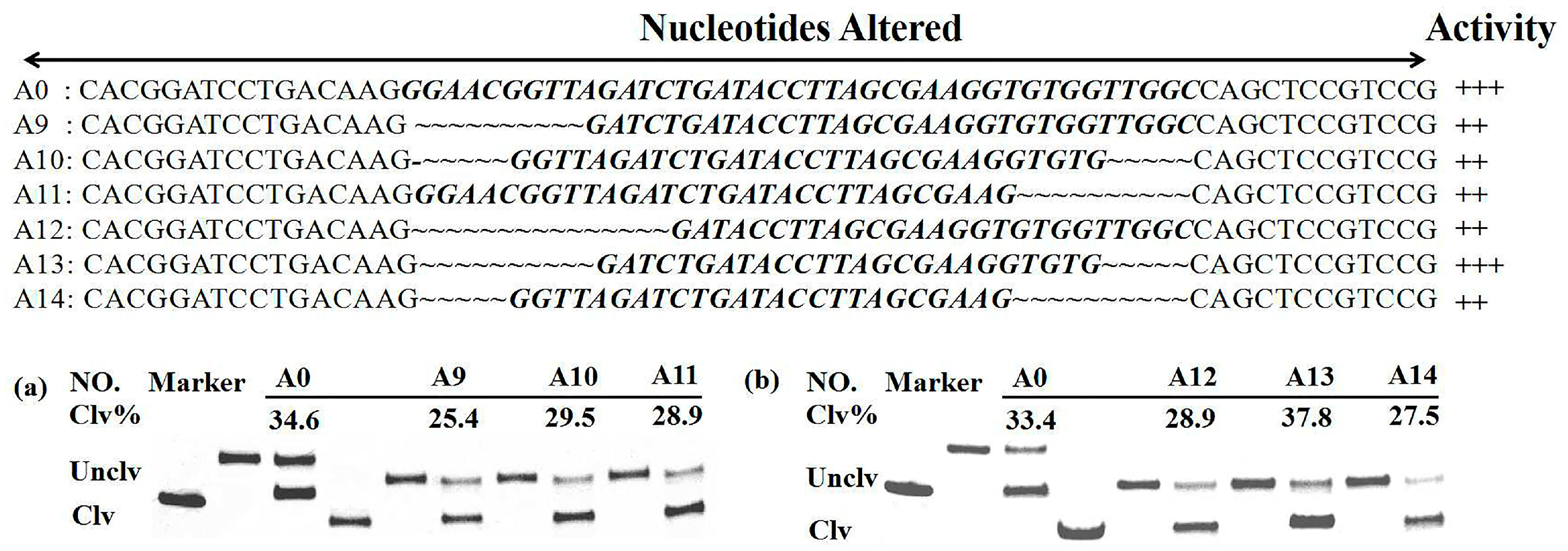 Sensors 17 00650 g005