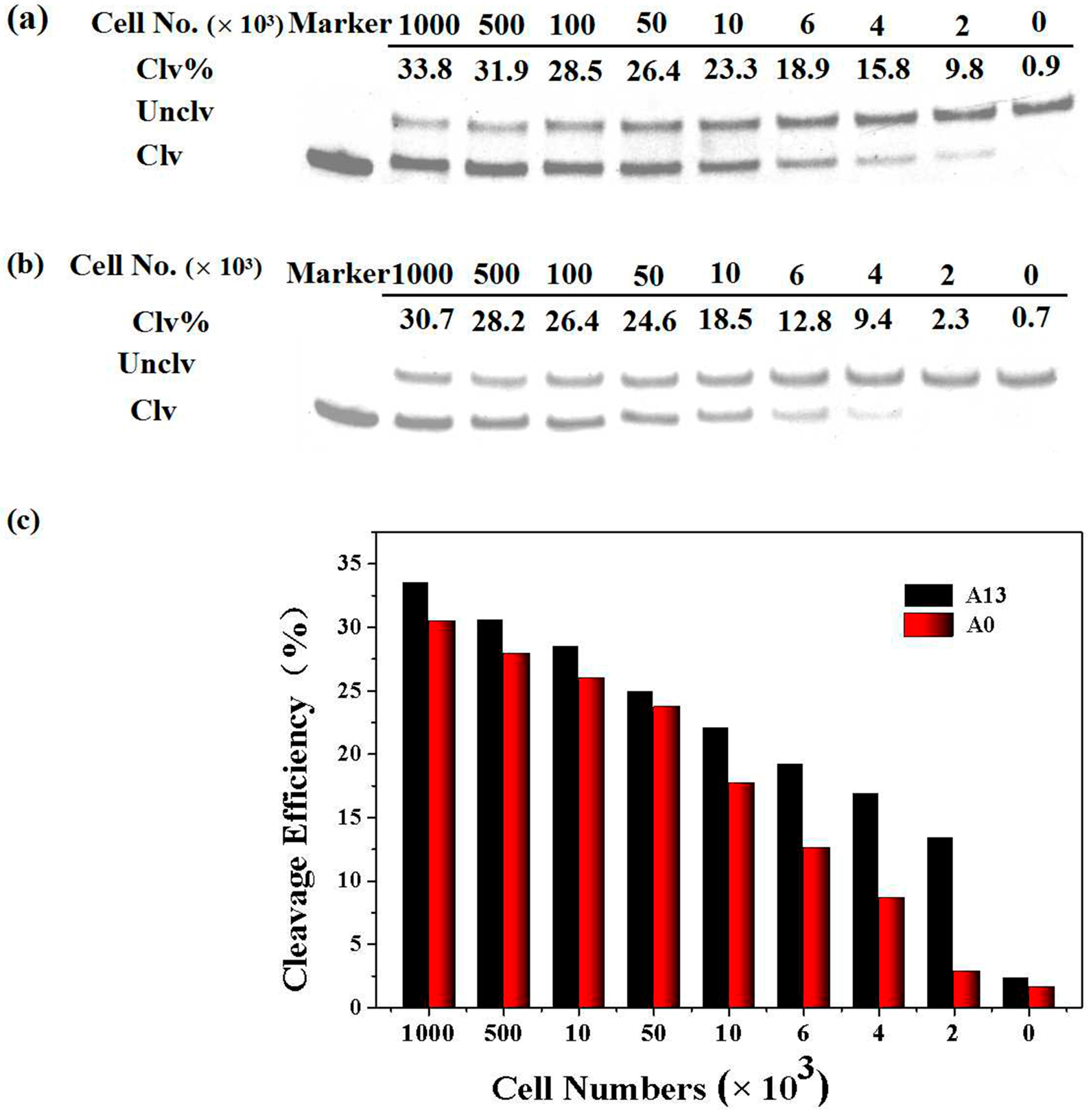 Sensors 17 00650 g006