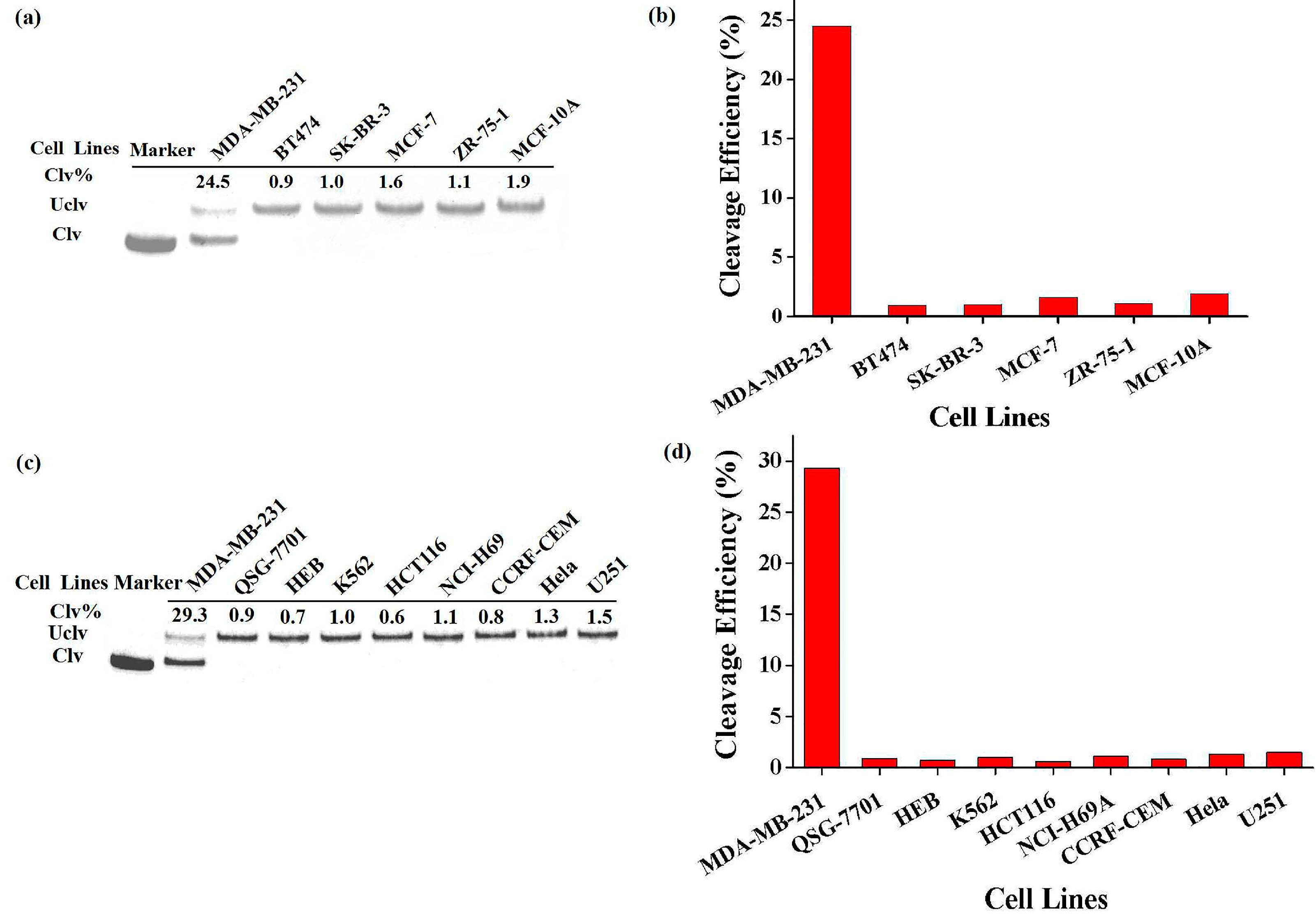 Sensors 17 00650 g007