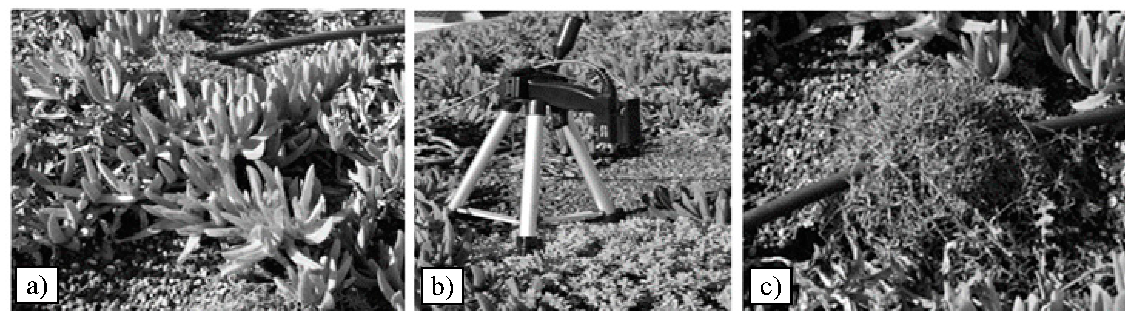 Sensors 17 00662 g002 550