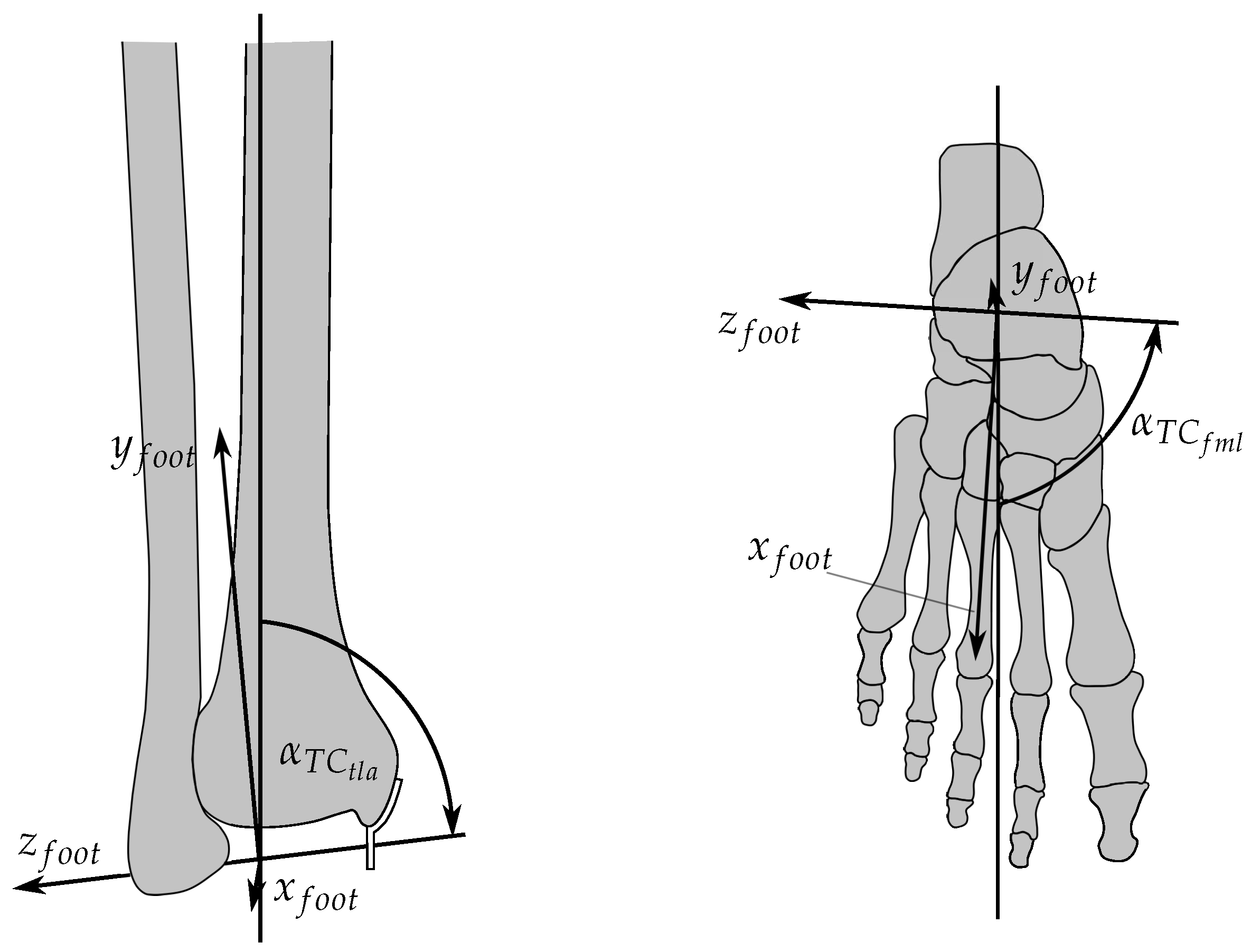 Inman's Joints of the Ankle - Google Books