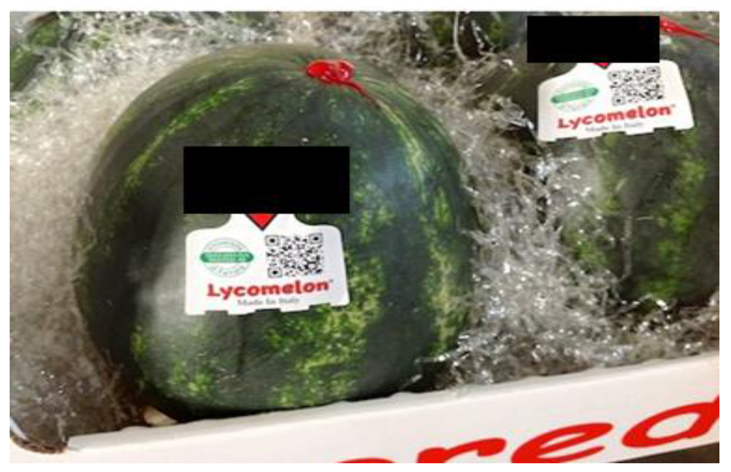 Sensors 17 00746 g007 550