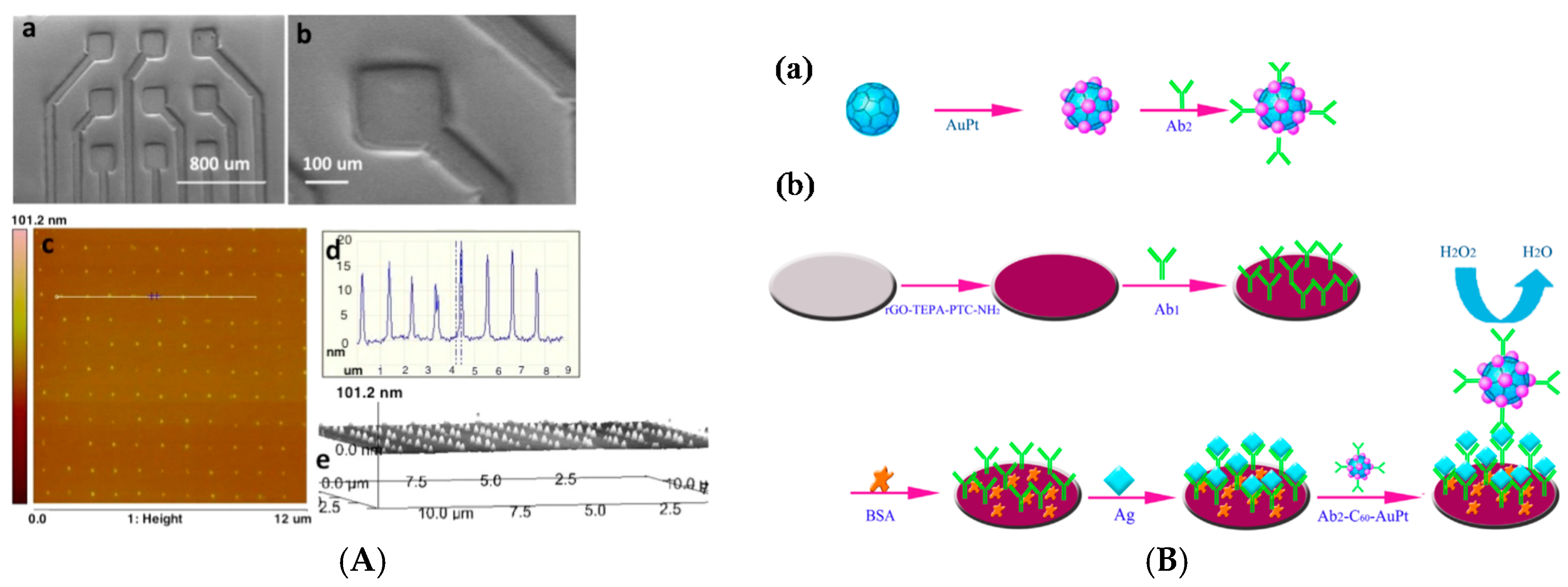 Sensors 17 00794 g008