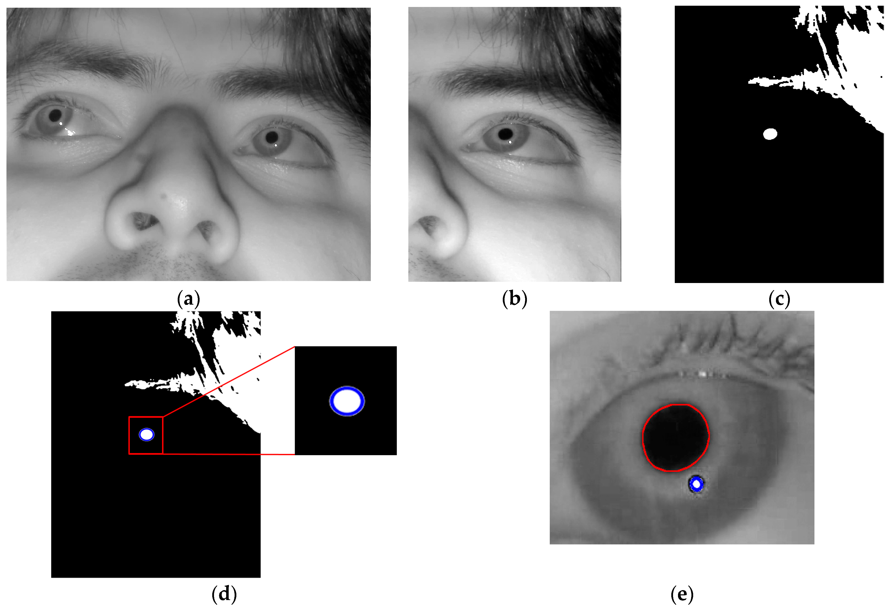 Sensors 17 00862 g002 550