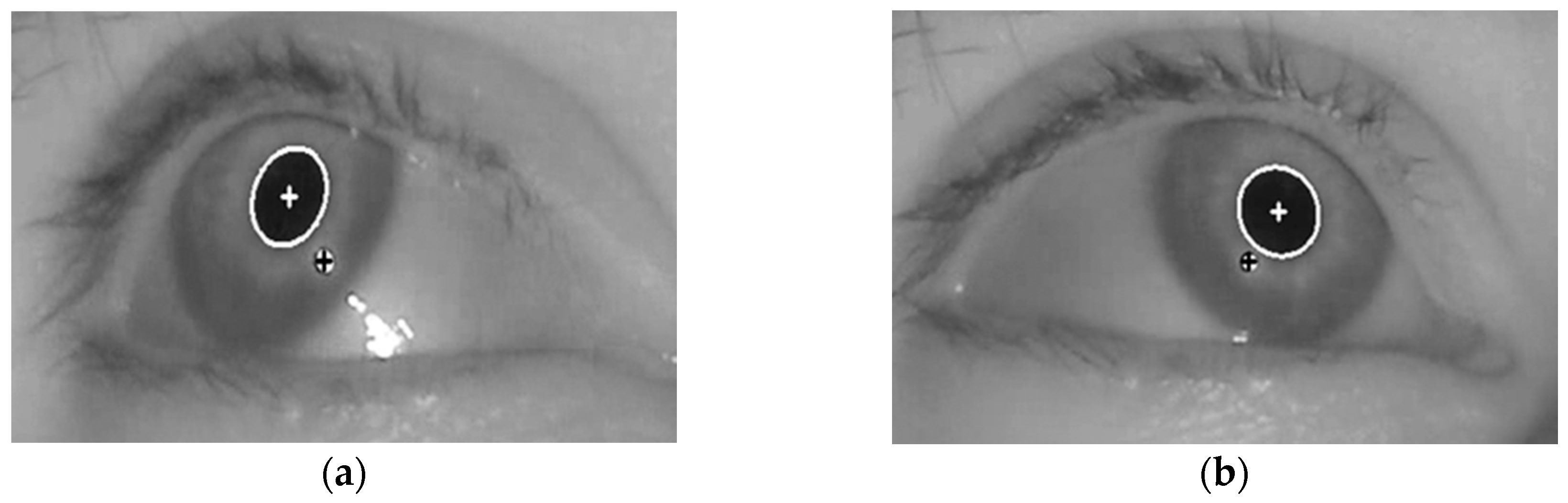 Sensors 17 00862 g005a 550