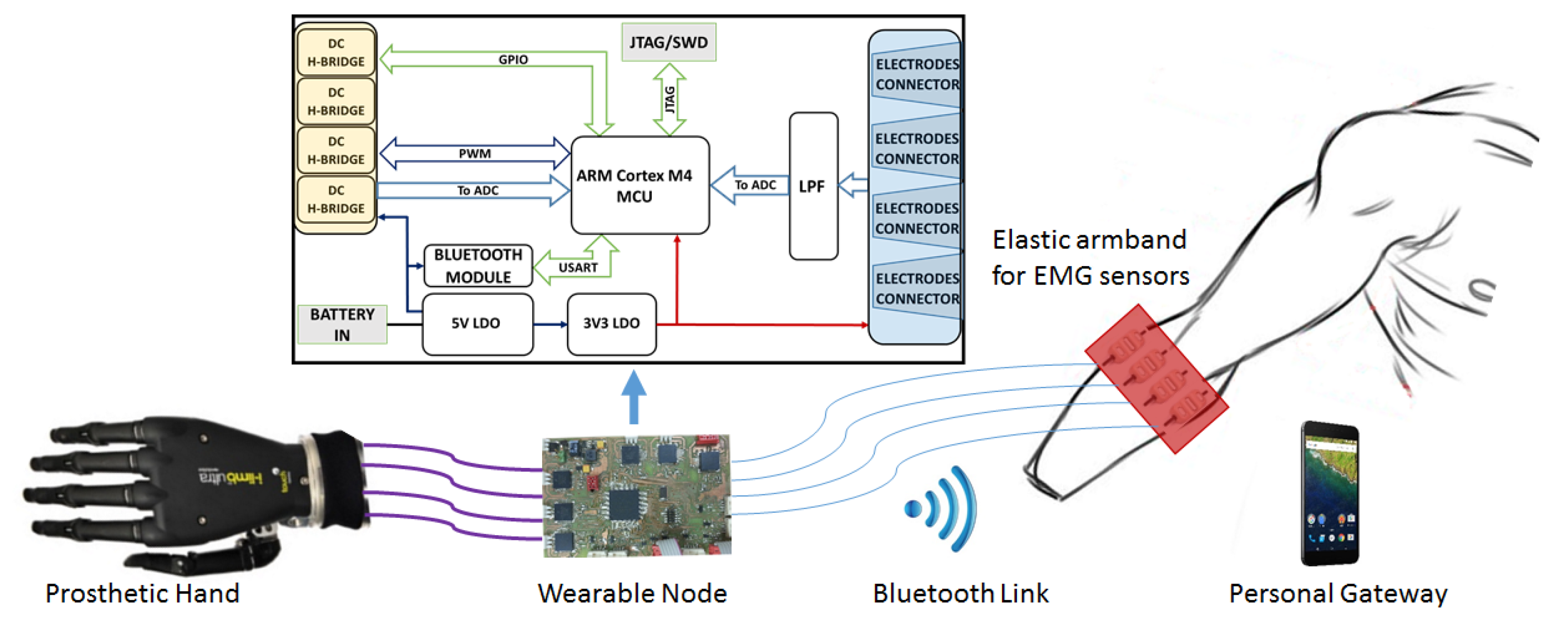 Algorithm may improve brain-controlled prostheses and exoskeletons