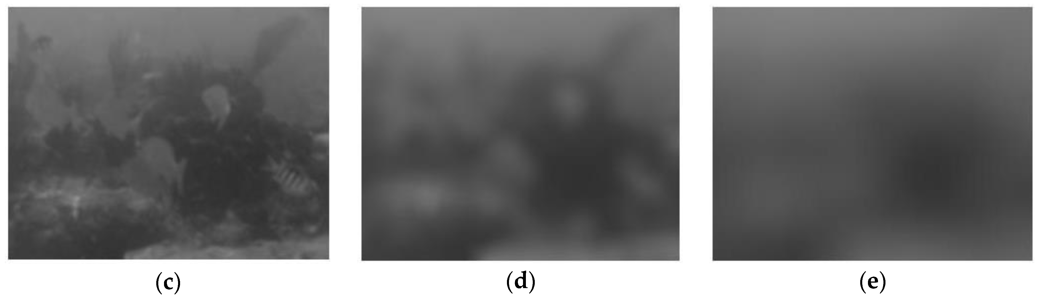 Sensors 17 00870 g005b