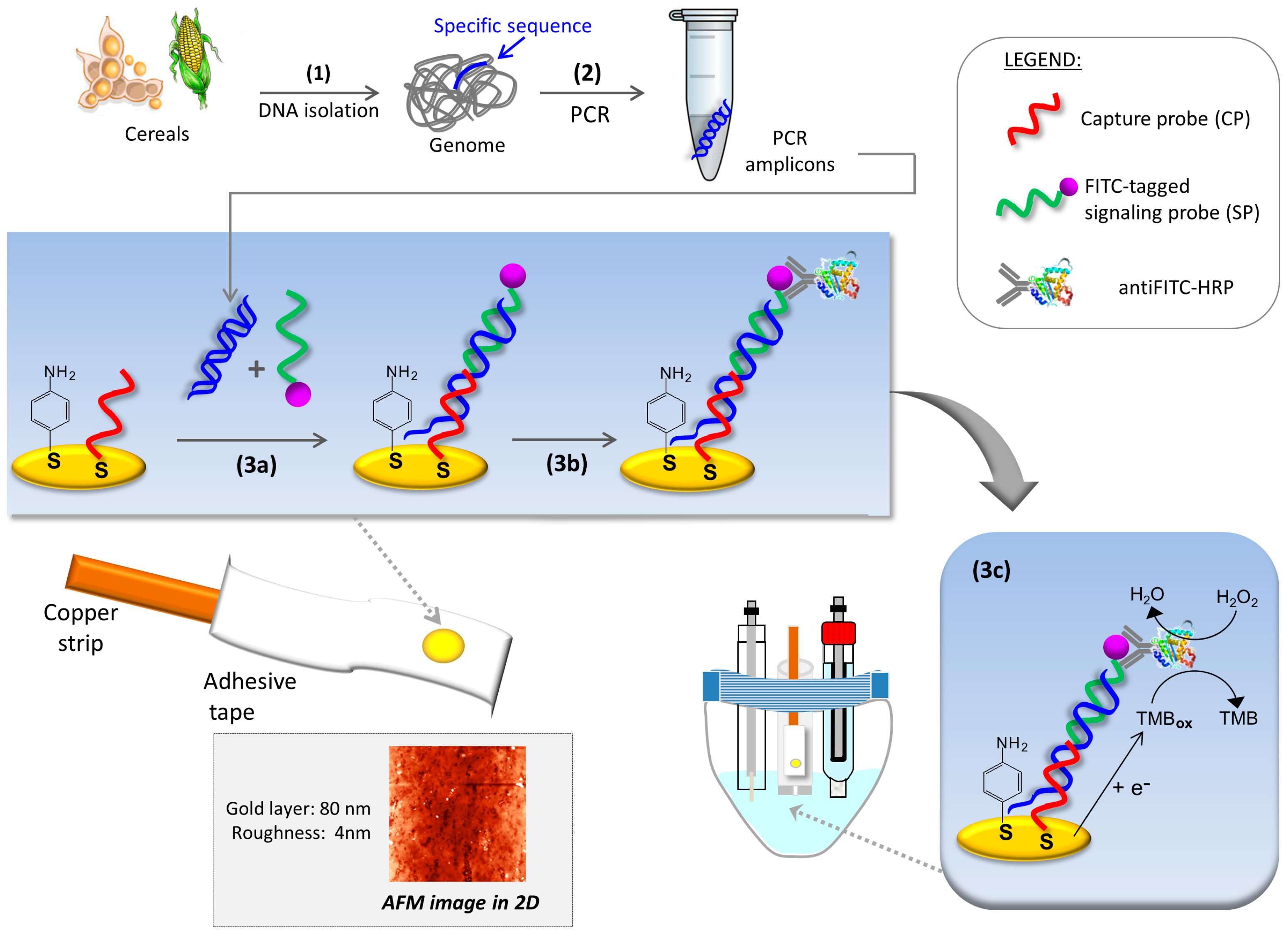 Sensors 17 00881 g001 Sensors 17 00881 g001
