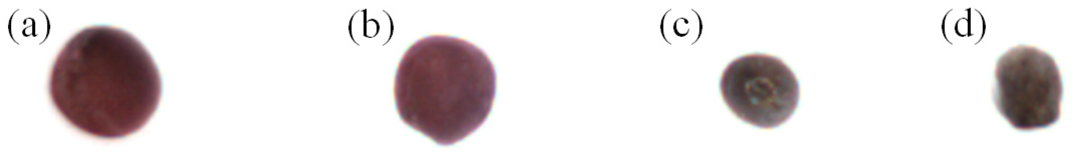 Sensors 17 00886 g011