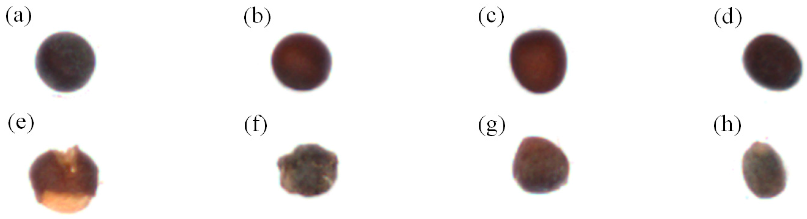 Sensors 17 00886 g012