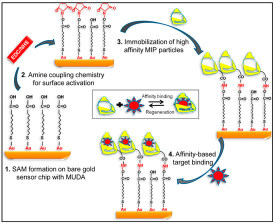 Molecular Imprinting of Macromolecules for Sensor Applications