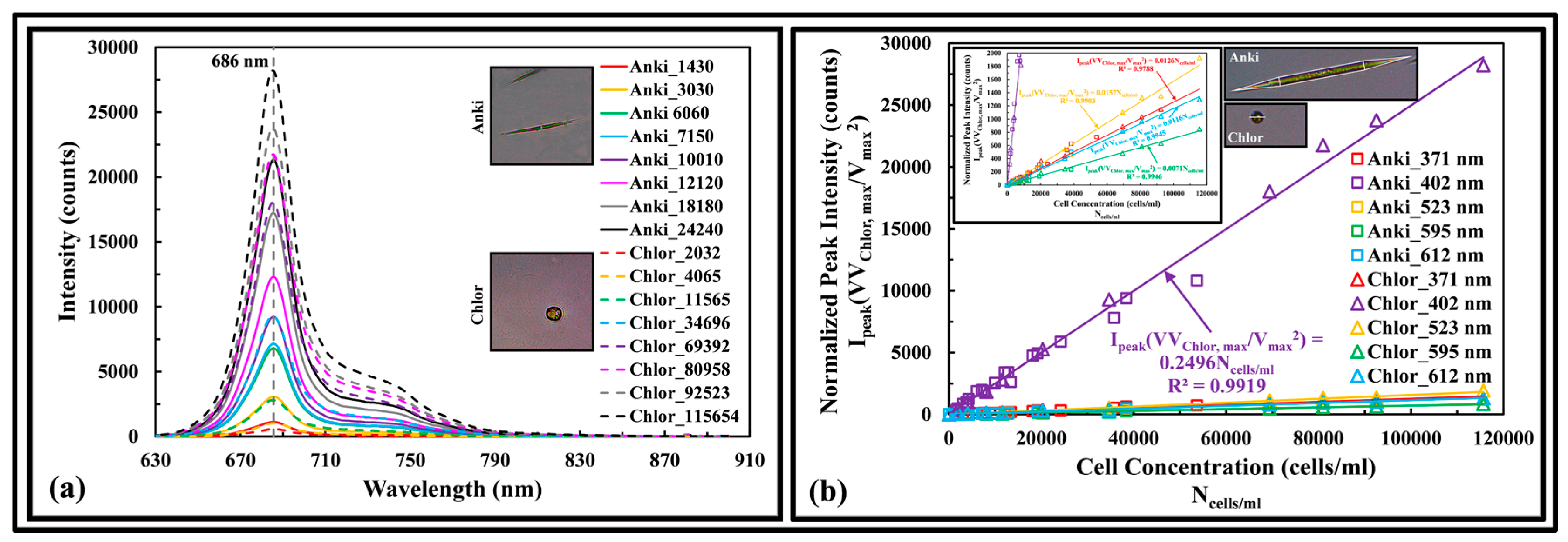 Sensors 17 00912 g005 550