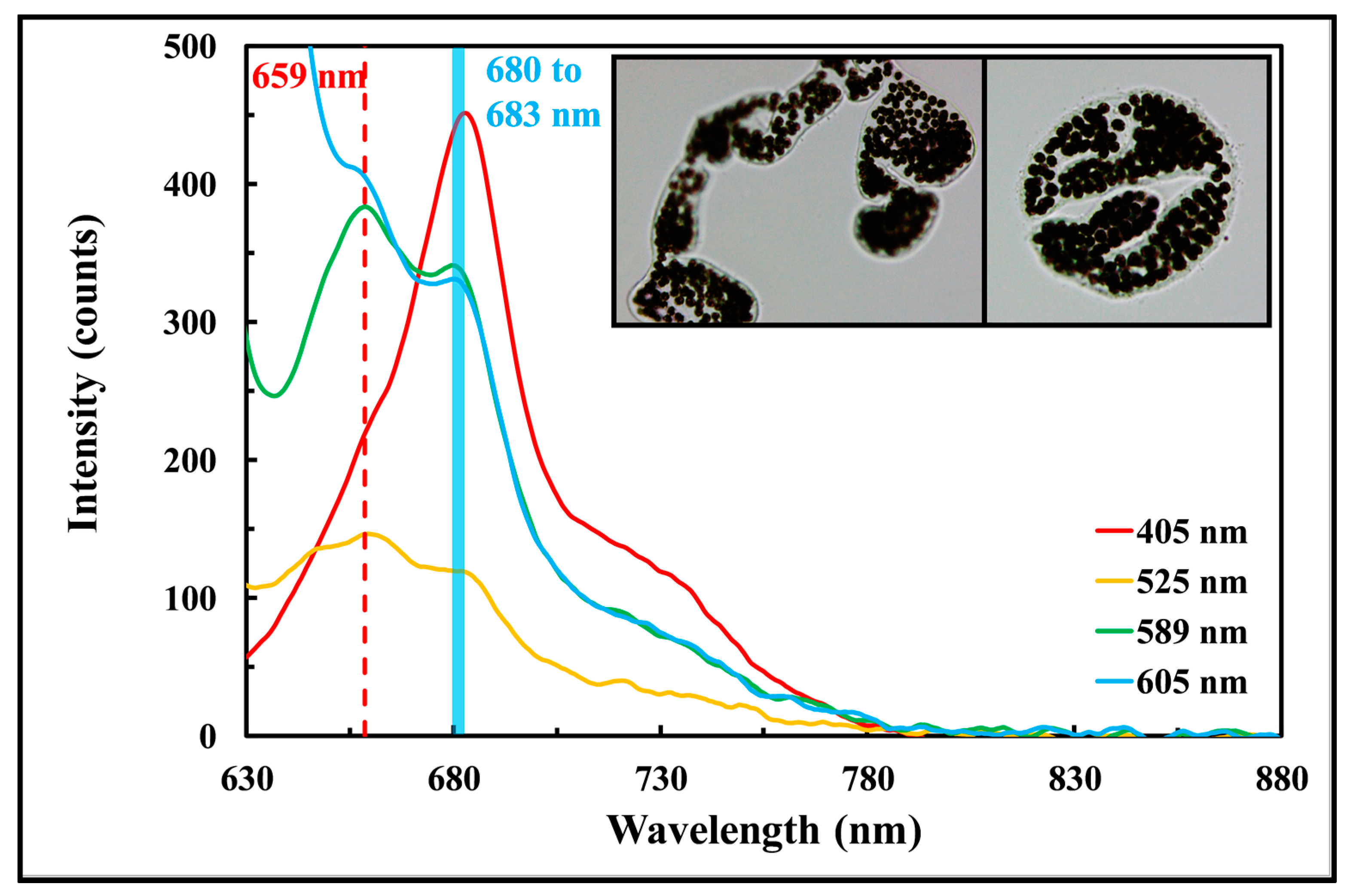 Sensors 17 00912 g010 550