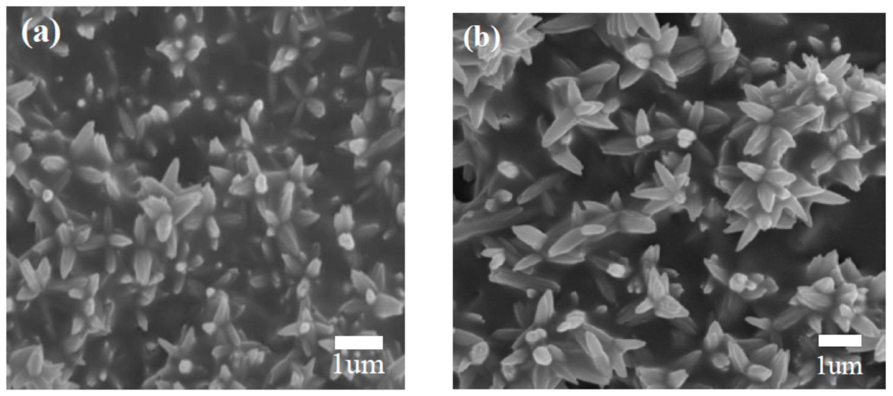 Sensors 17 00913 g003a 550