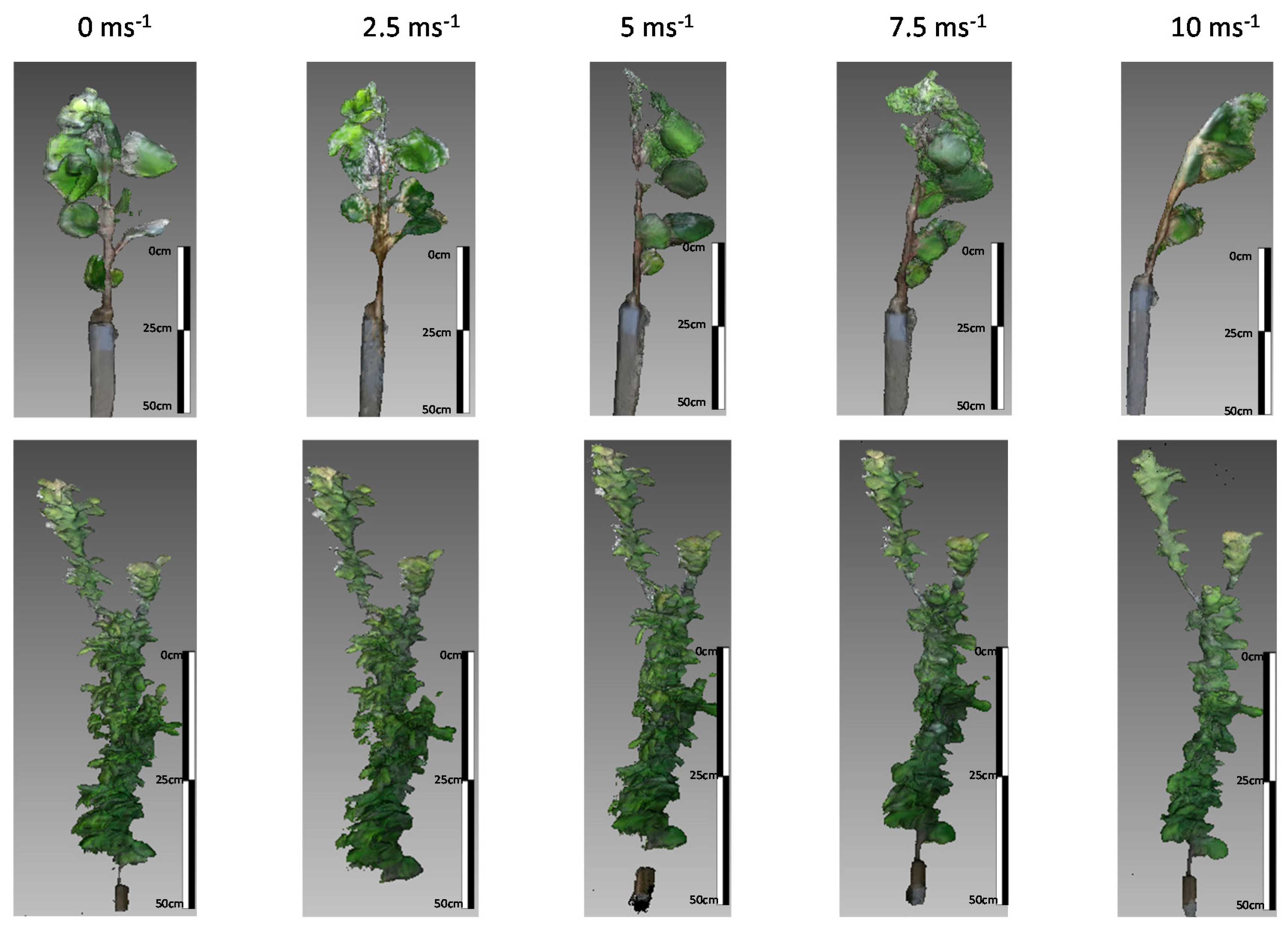 Sensors 17 00914 g003 550