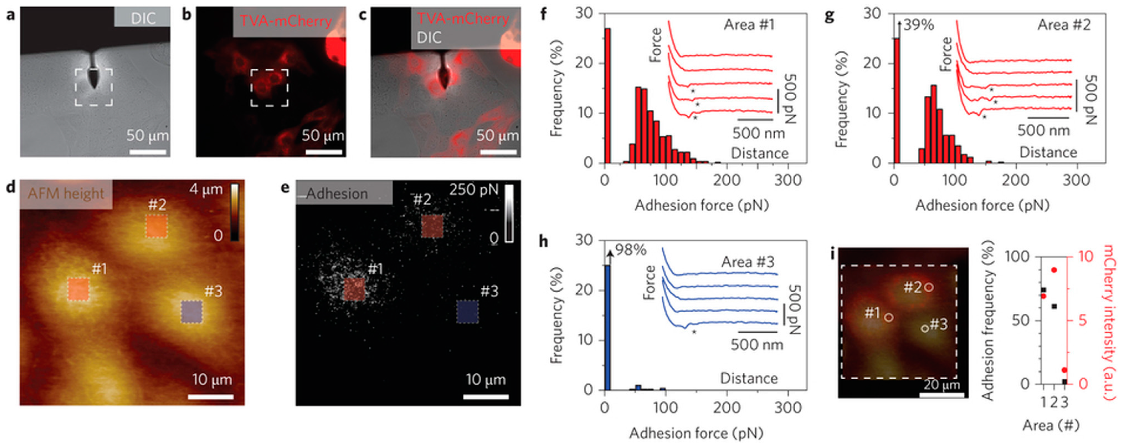 Sensors 17 00938 g006 550