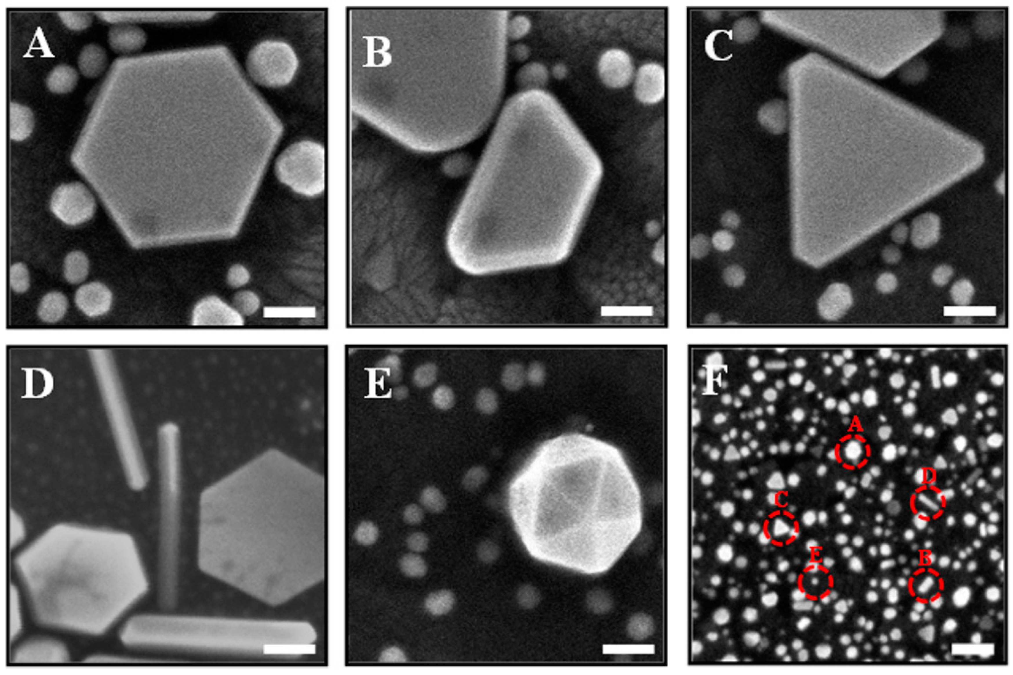 Sensors 17 00947 g001