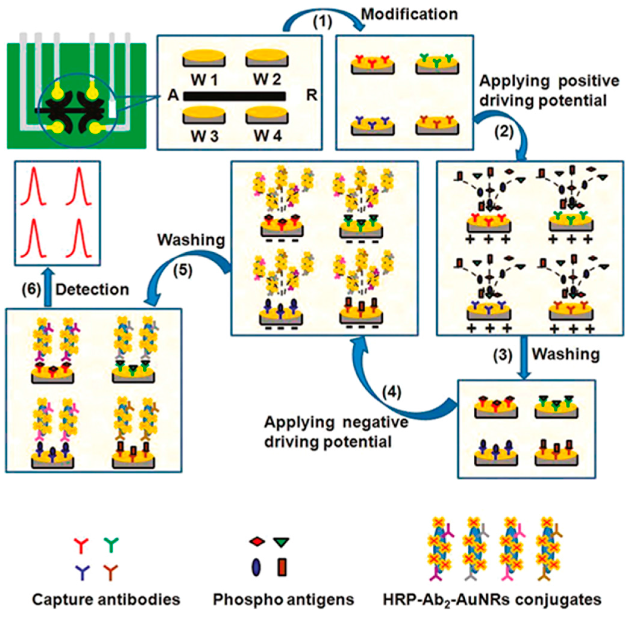 Sensors 17 00965 g001