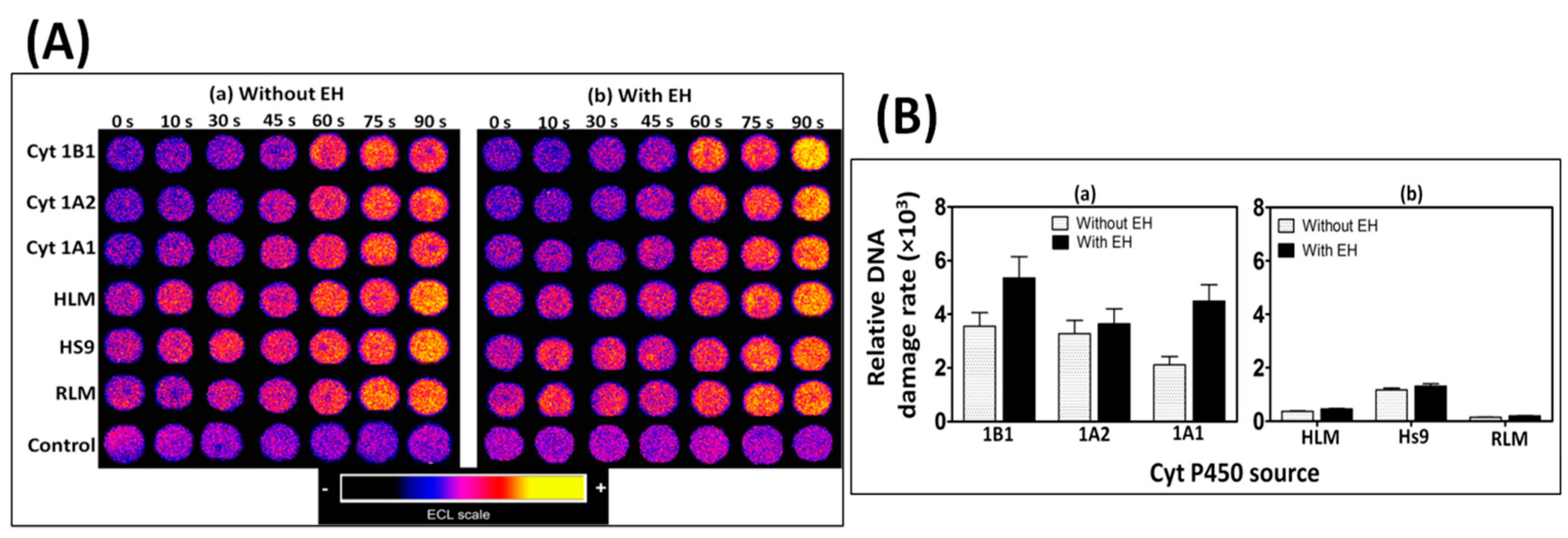 Sensors 17 01008 g001