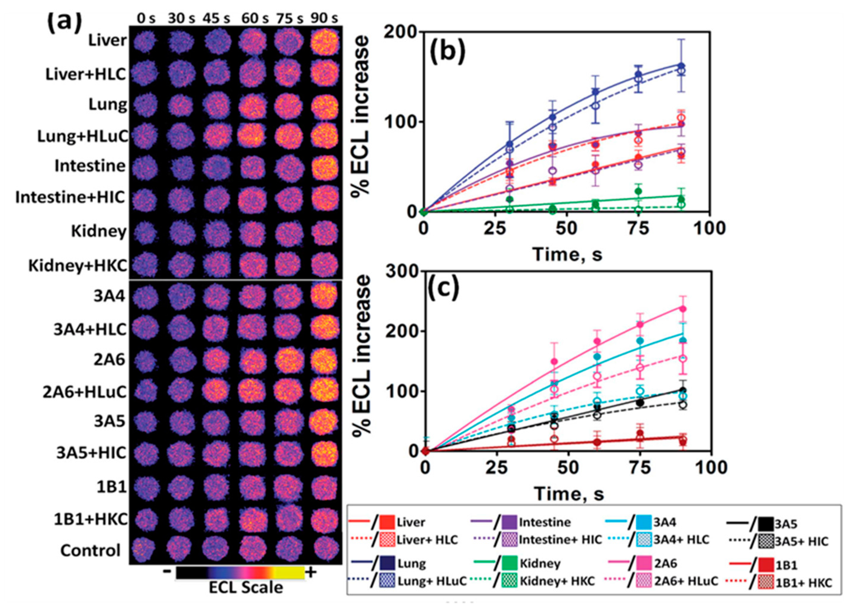 Sensors 17 01008 g002