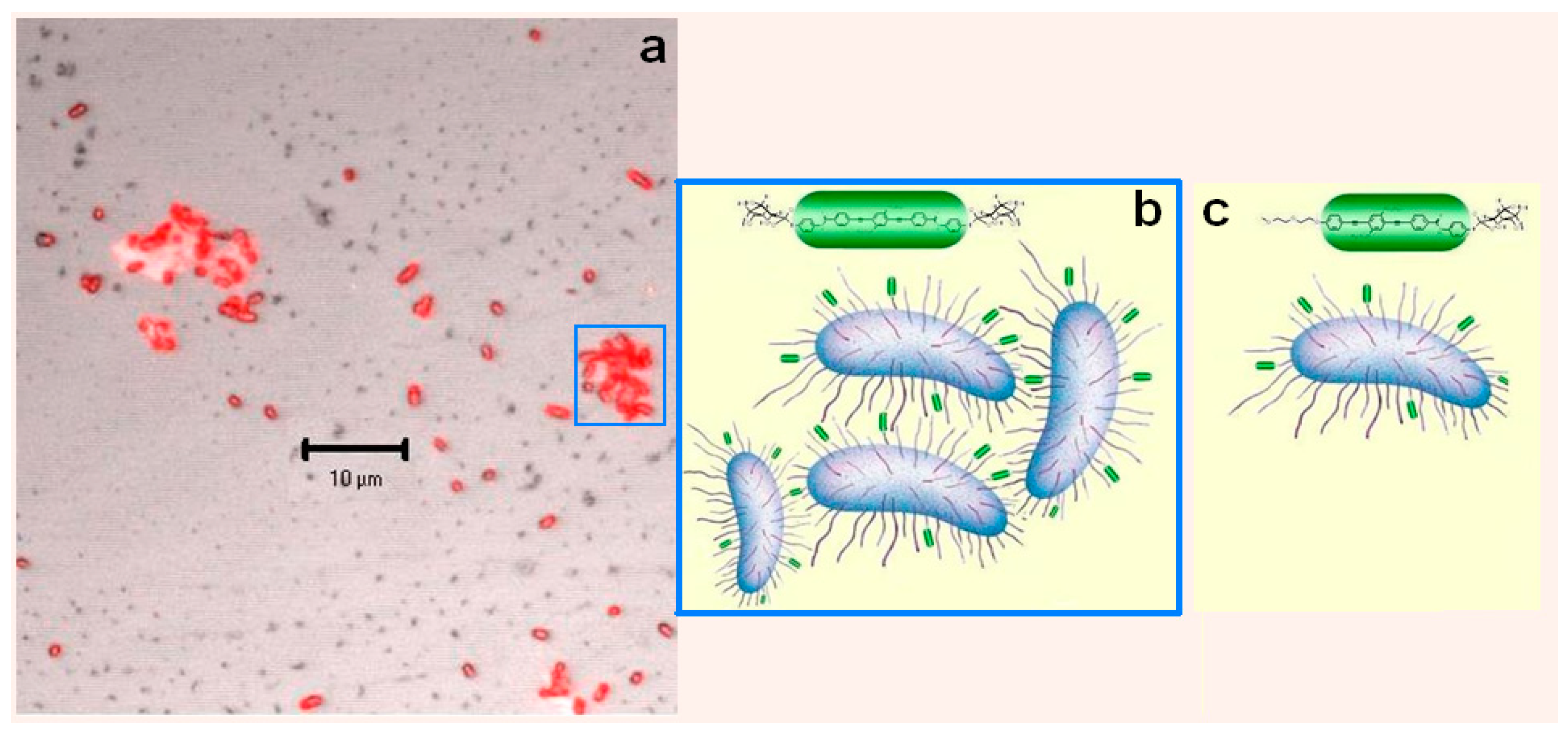 Sensors 17 01025 g005 550