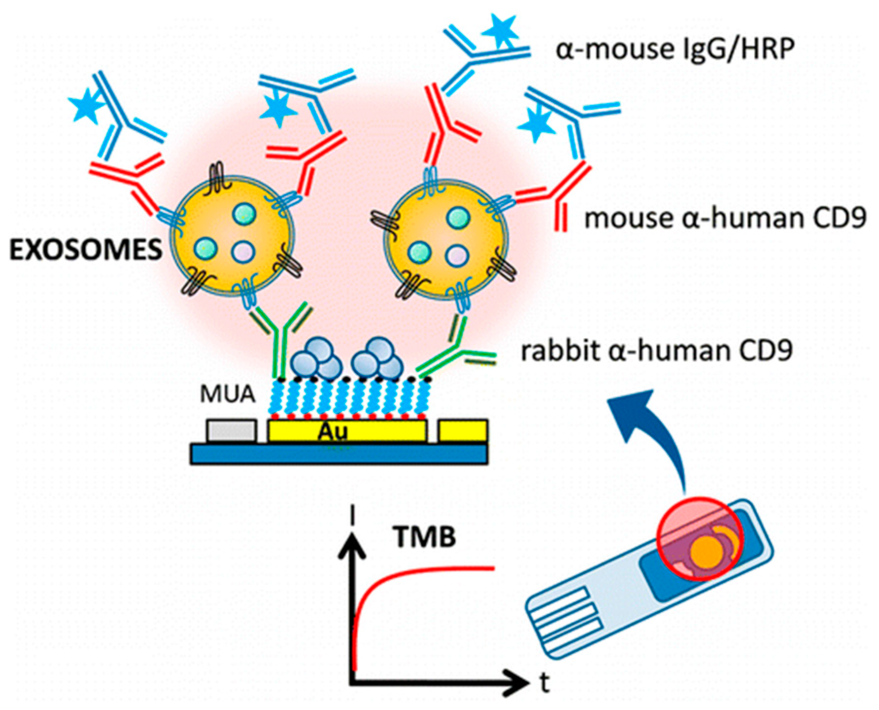 Sensors 17 01041 g002 550