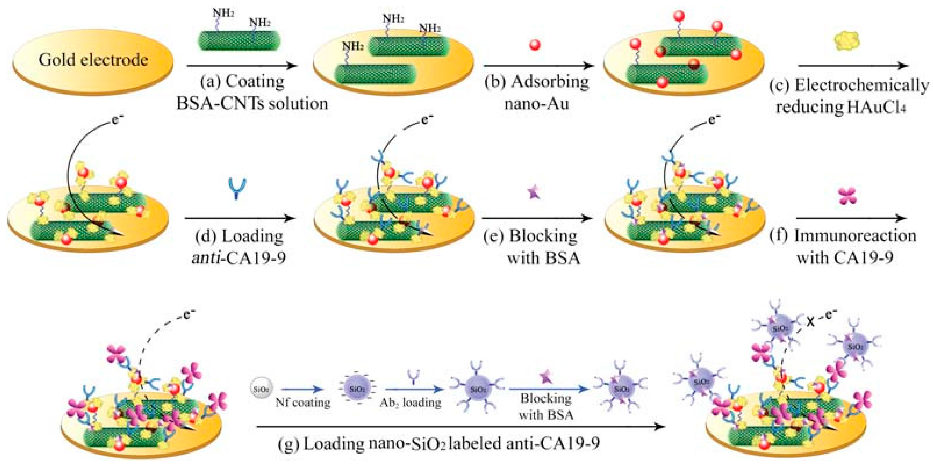 Sensors 17 01041 g003 550