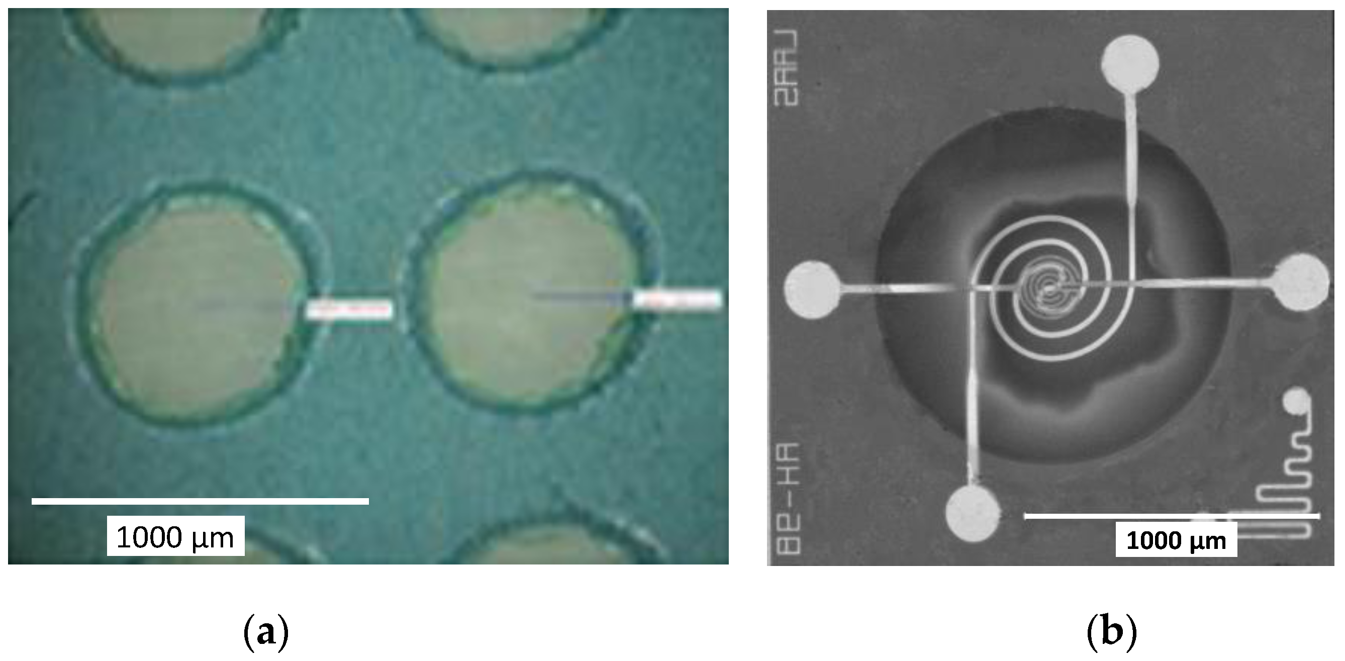 Sensors 17 01055 g006