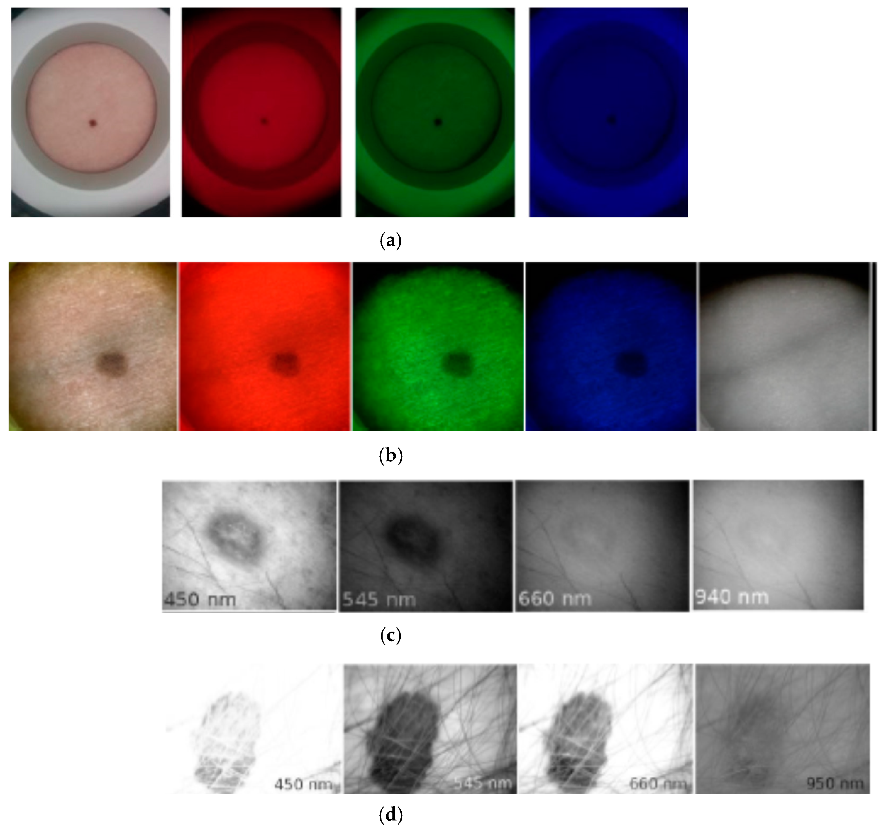 Sensors 17 01165 g016 550