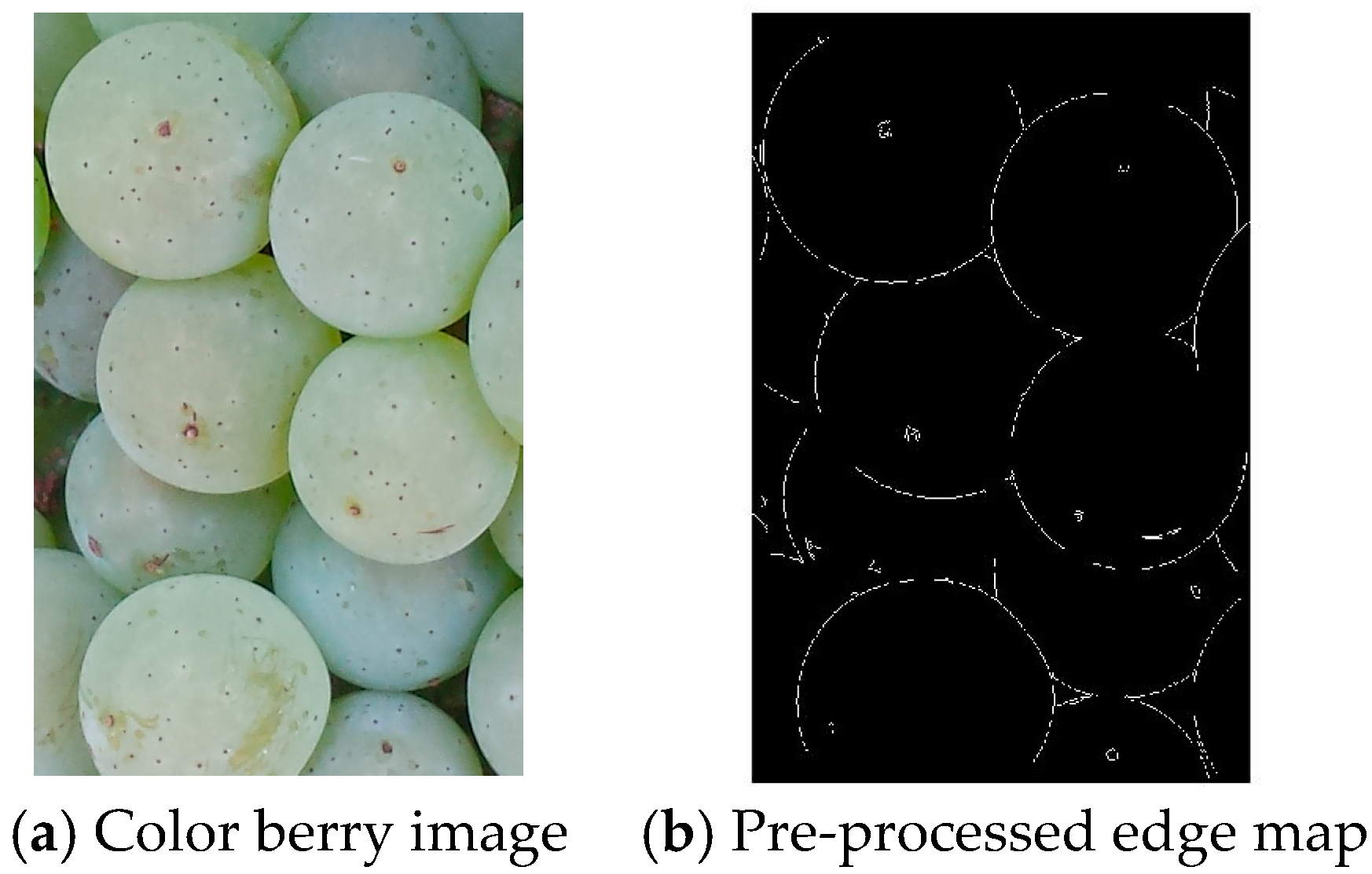Sensors 17 01186 g003 550
