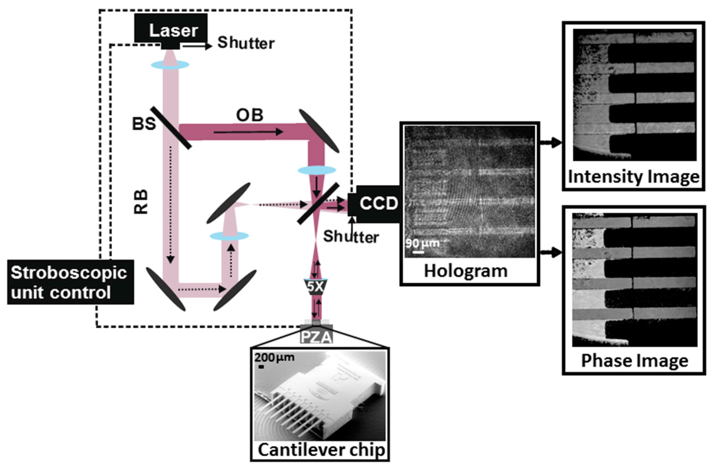 Sensors 17 01191 g001 550