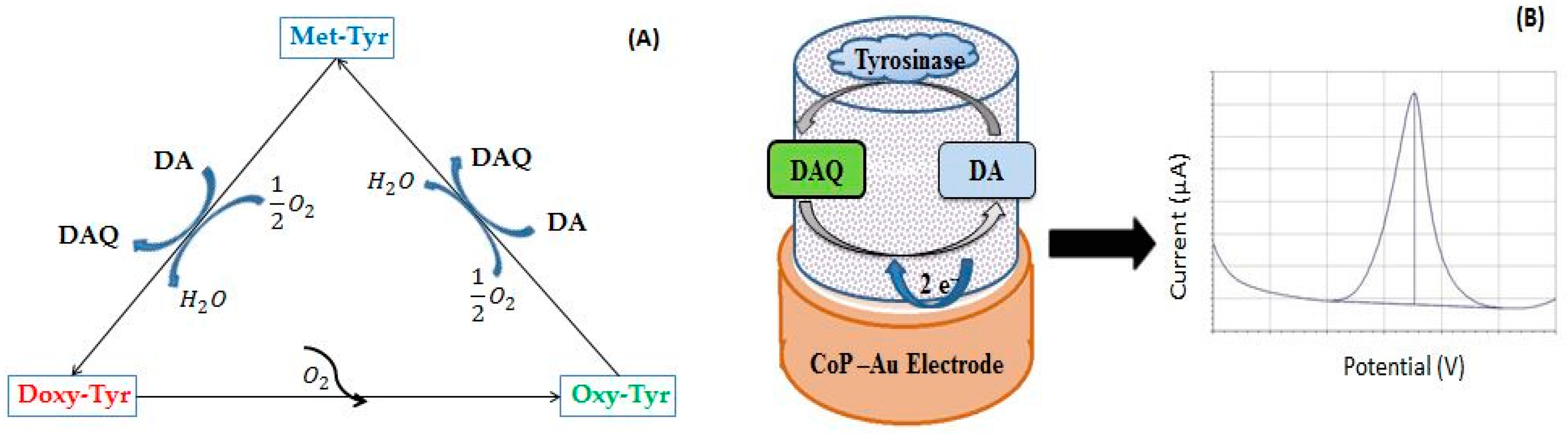 Sensors 17 01314 sch001