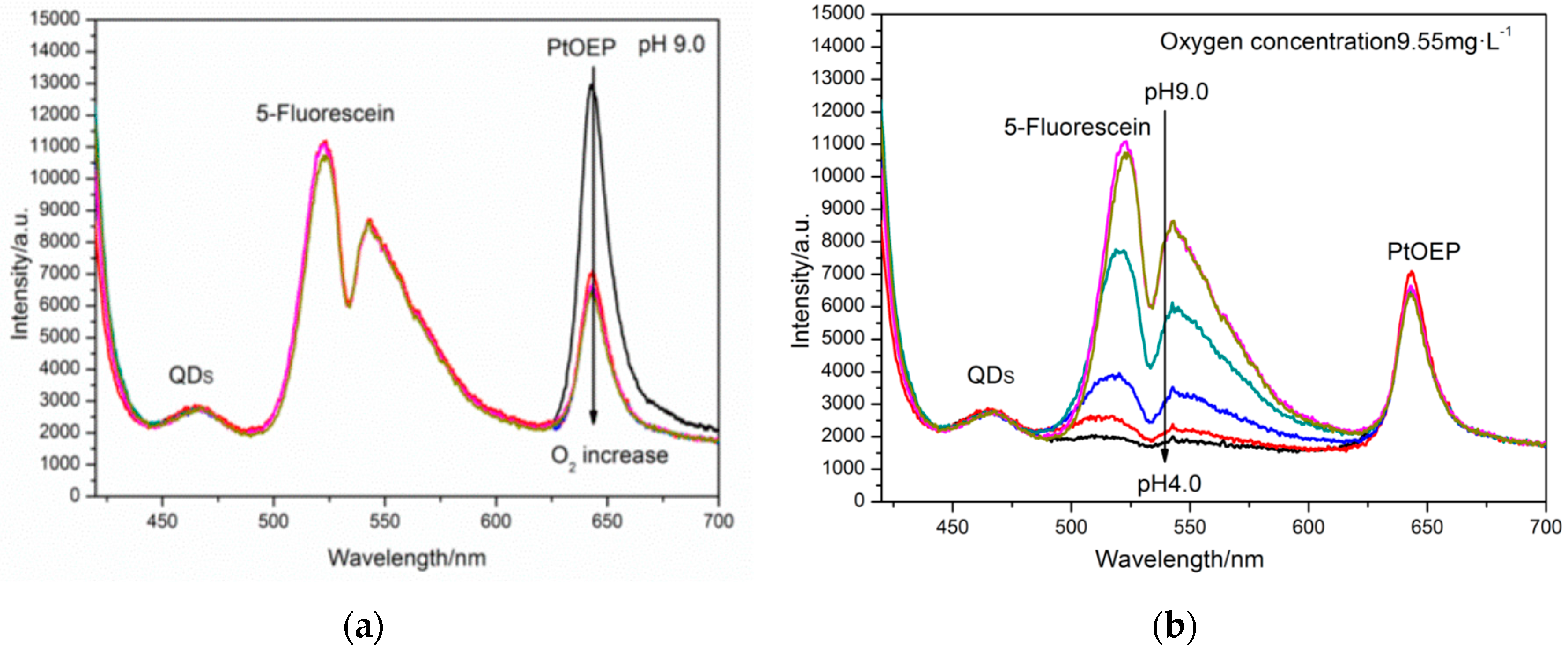 Sensors 17 01316 g005 550