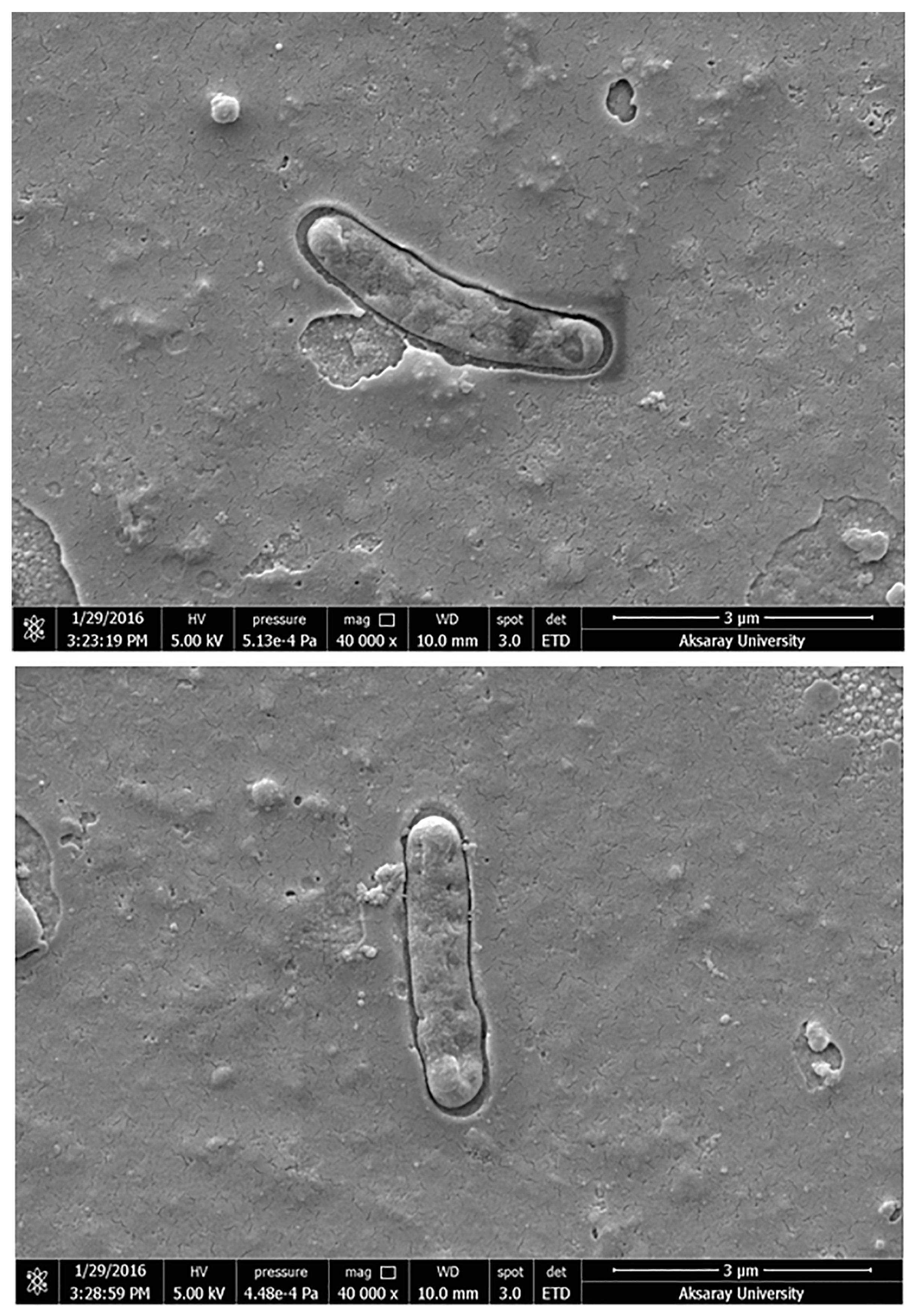 Sensors 17 01375 g002 550