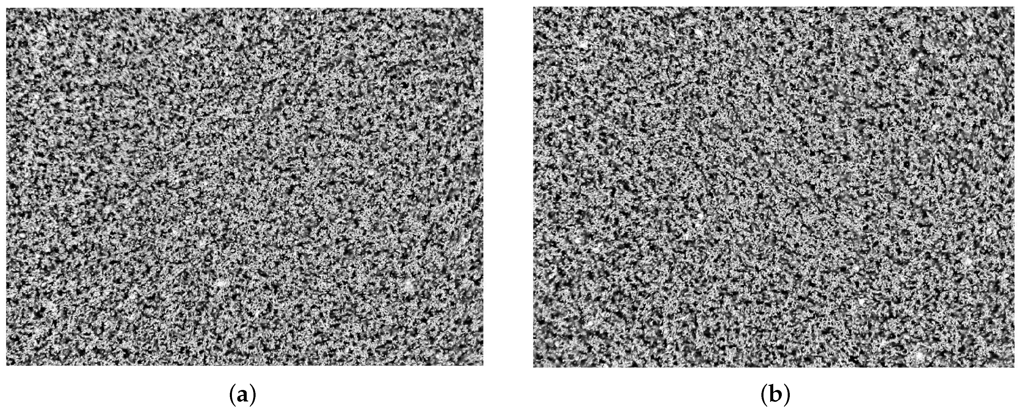 Sensors 17 01420 g005 550