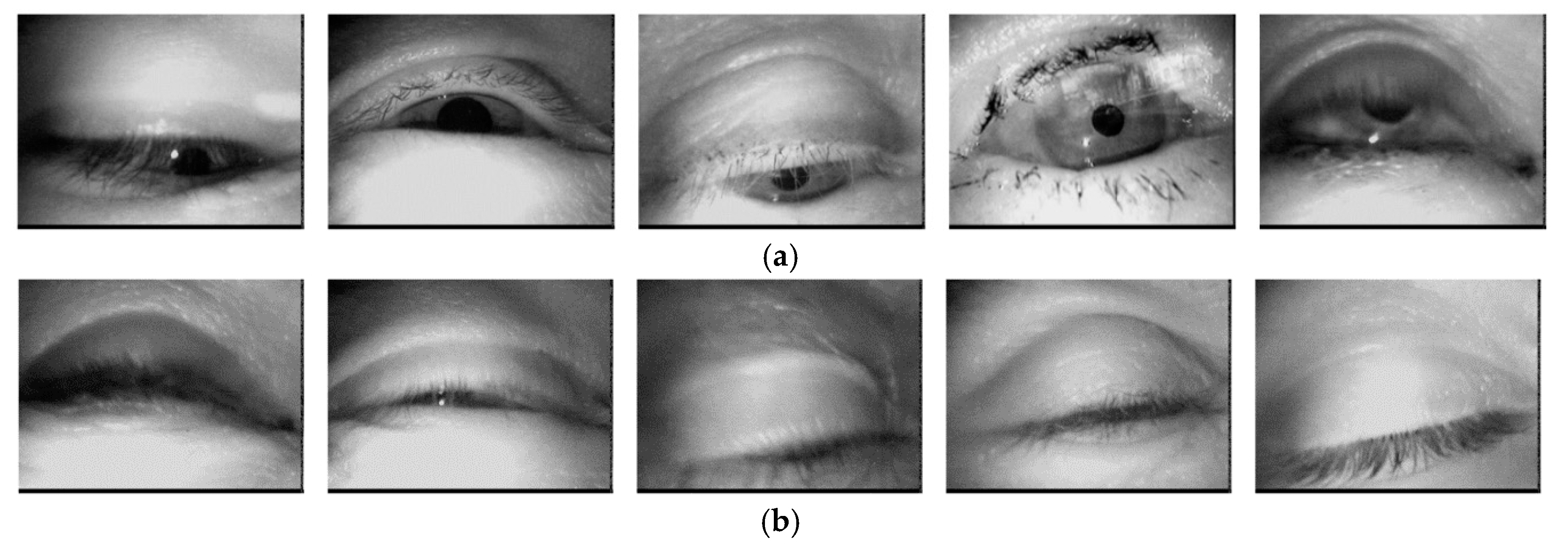 Sensors 17 01534 g012