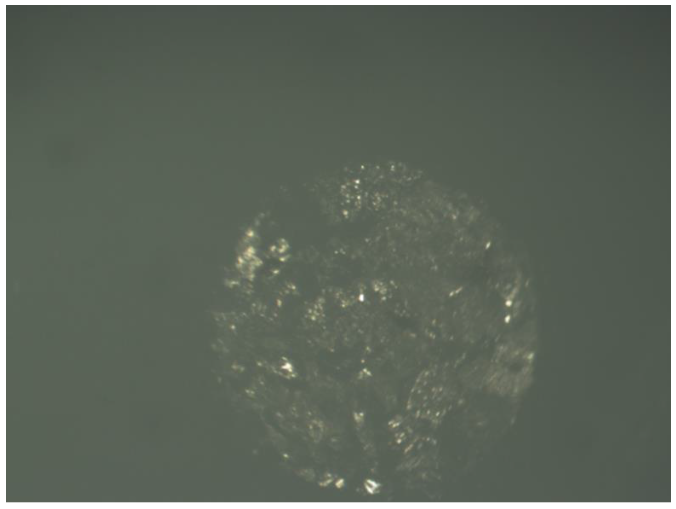 Sensors 17 01549 g006