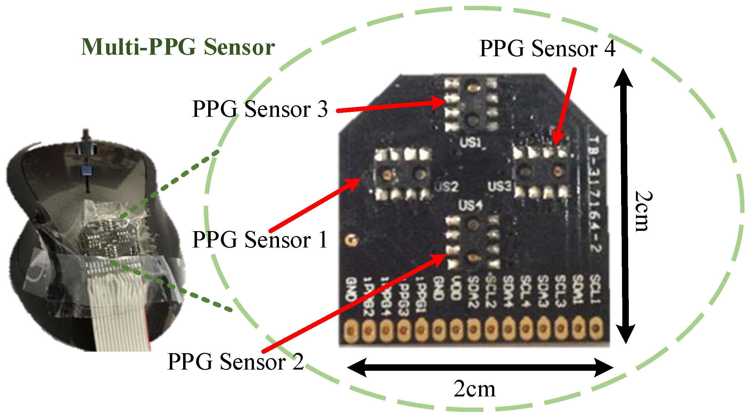 Sensors Free FullText A Pulse Rate Detection Method for Mouse