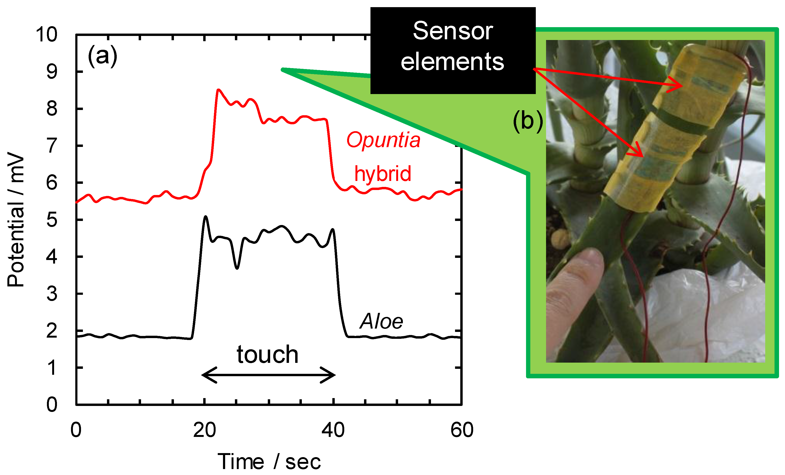 Sensors 17 01638 g003