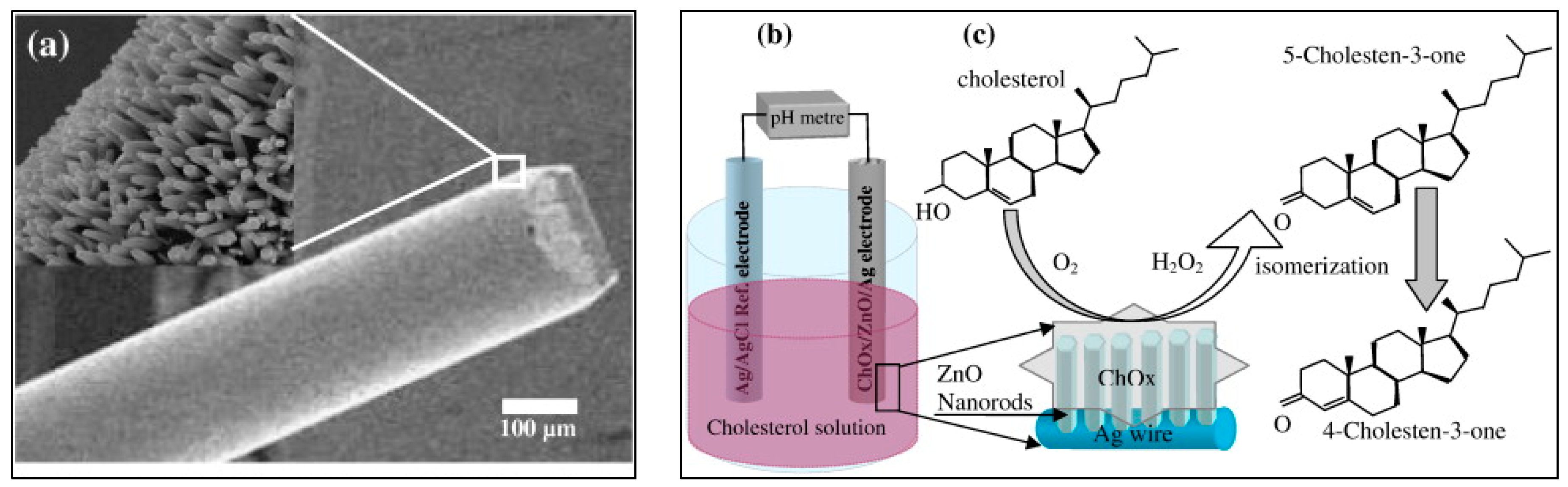 Sensors 17 01645 g002