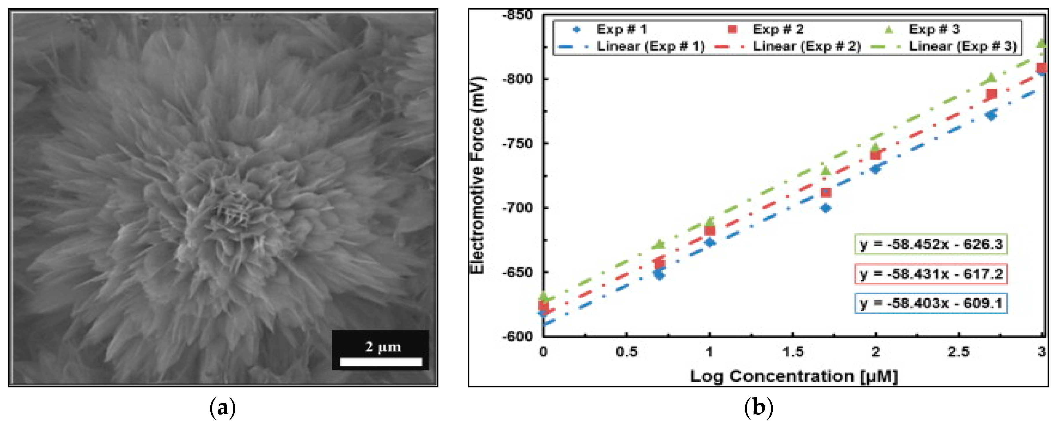 Sensors 17 01645 g003