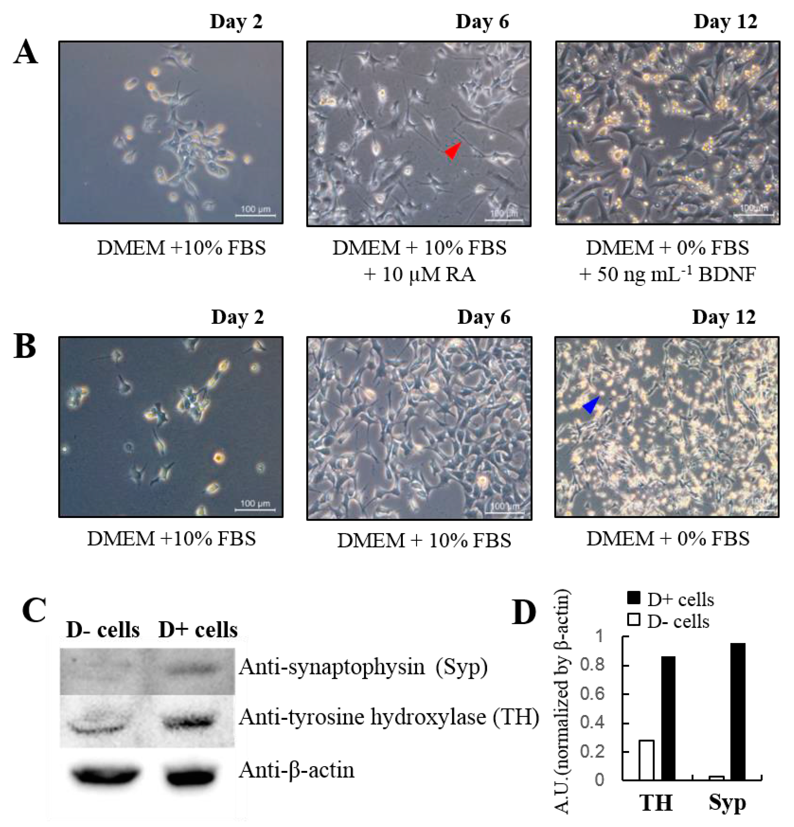Sensors 17 01661 g002